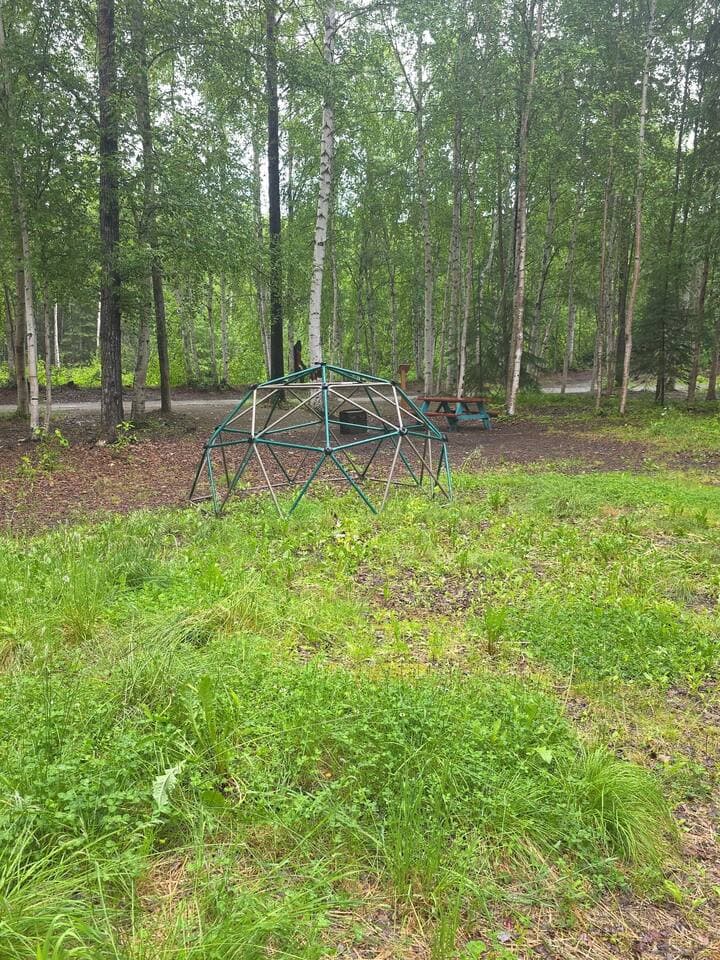 Gallery Image 7