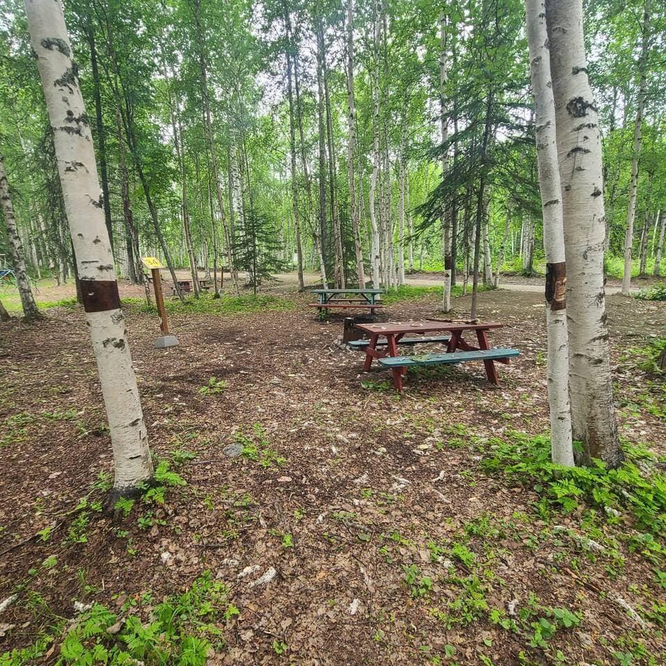 Large Image