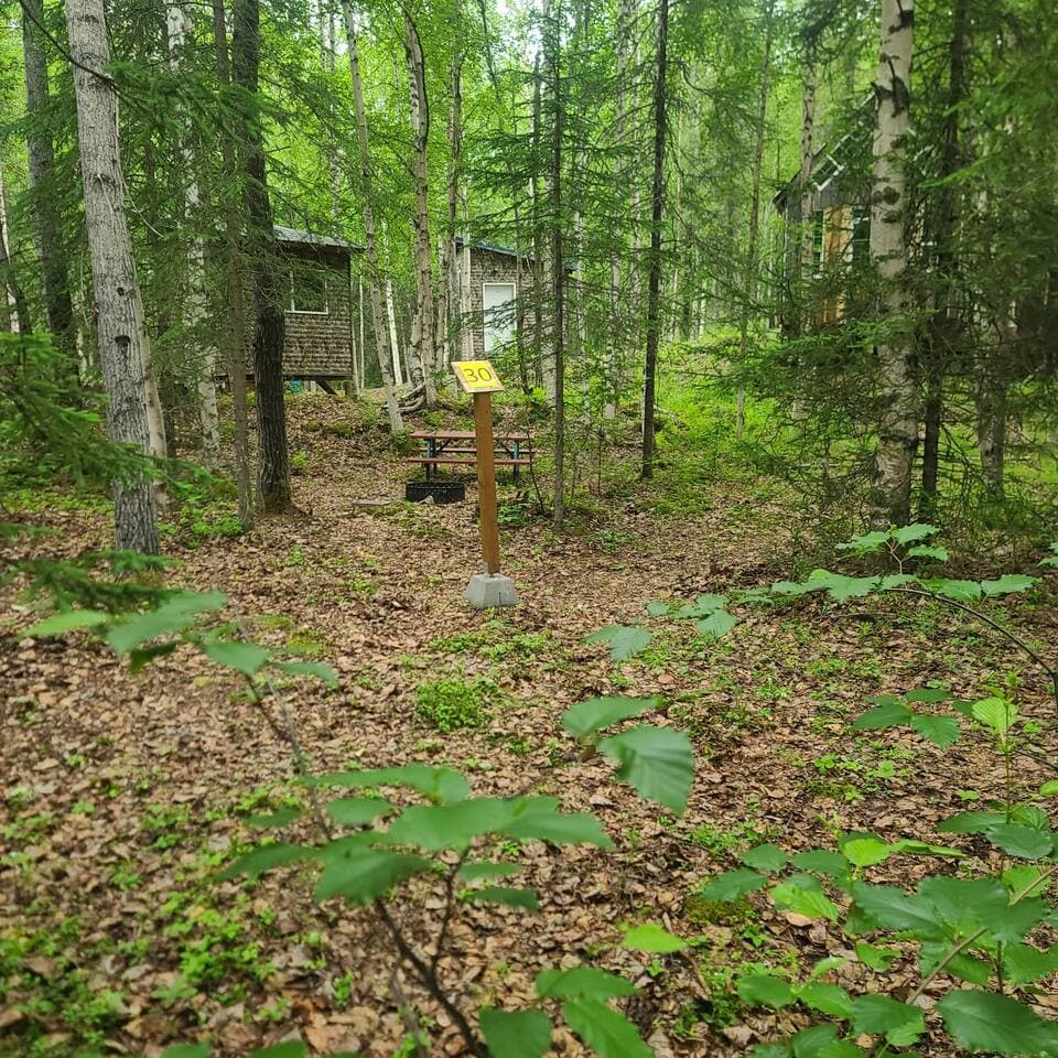 Large Image
