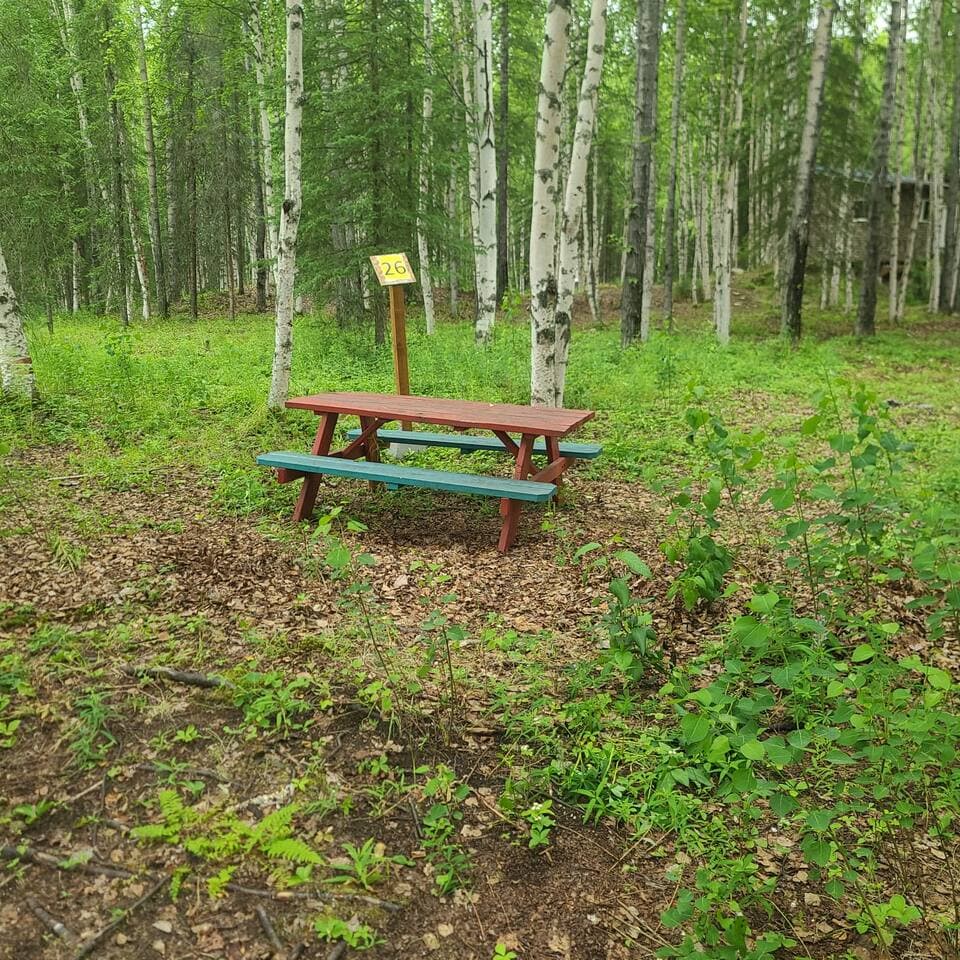 Gallery Image 6