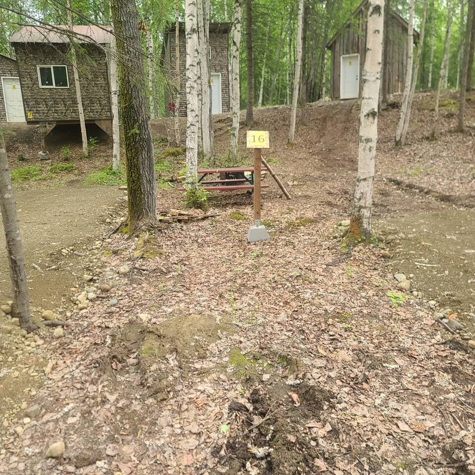 Large Image