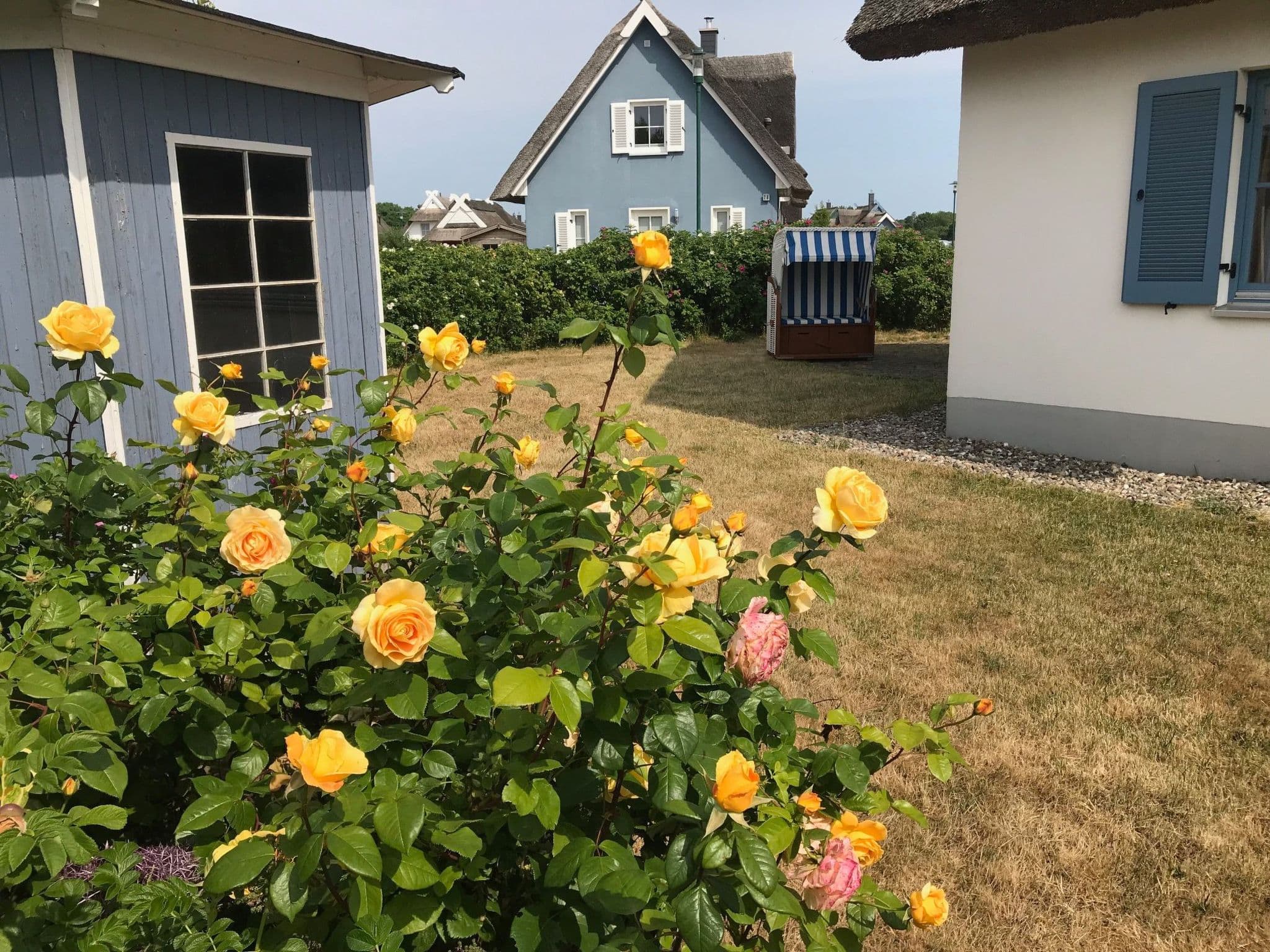 Gallery Image 14