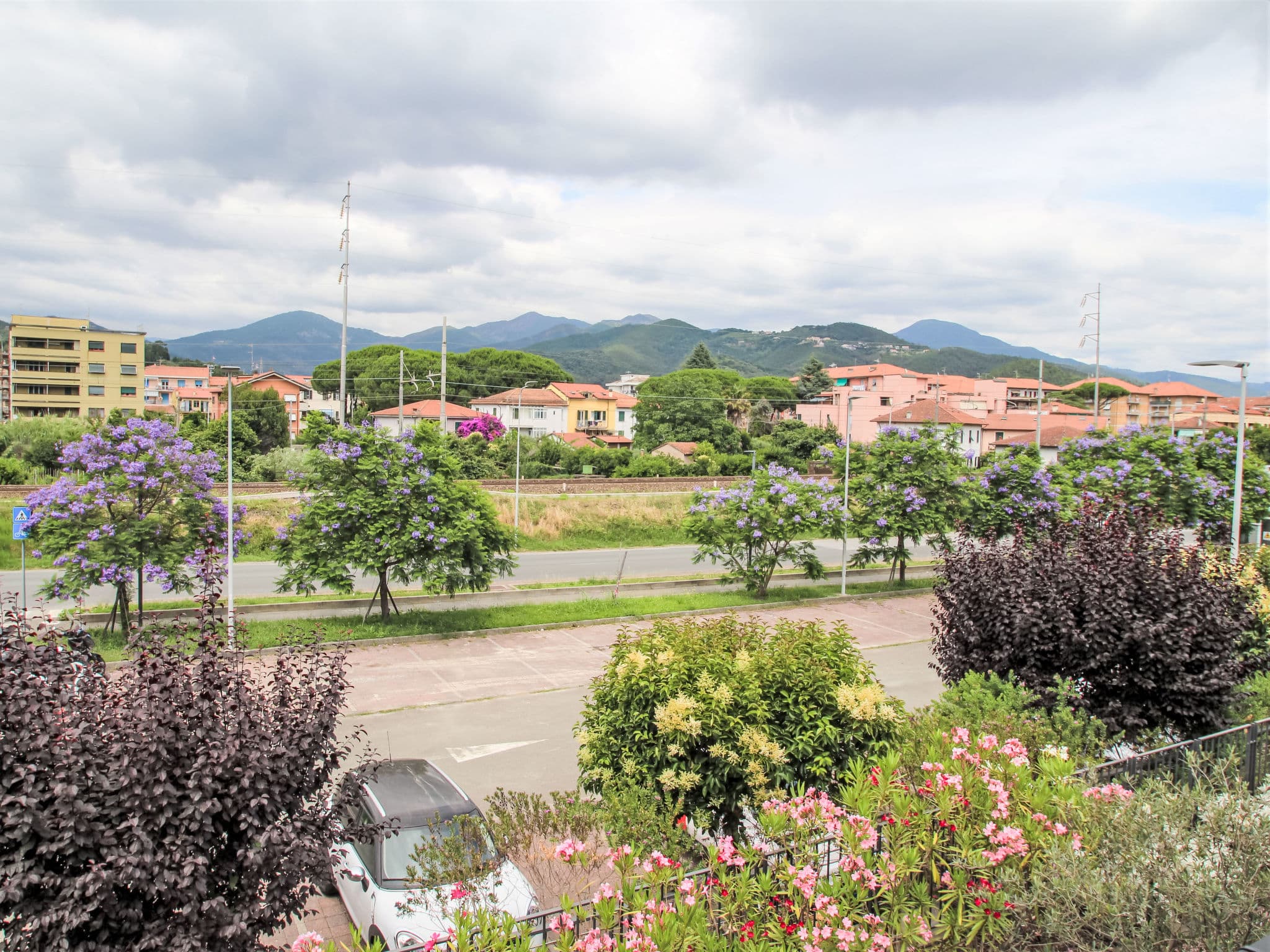 View