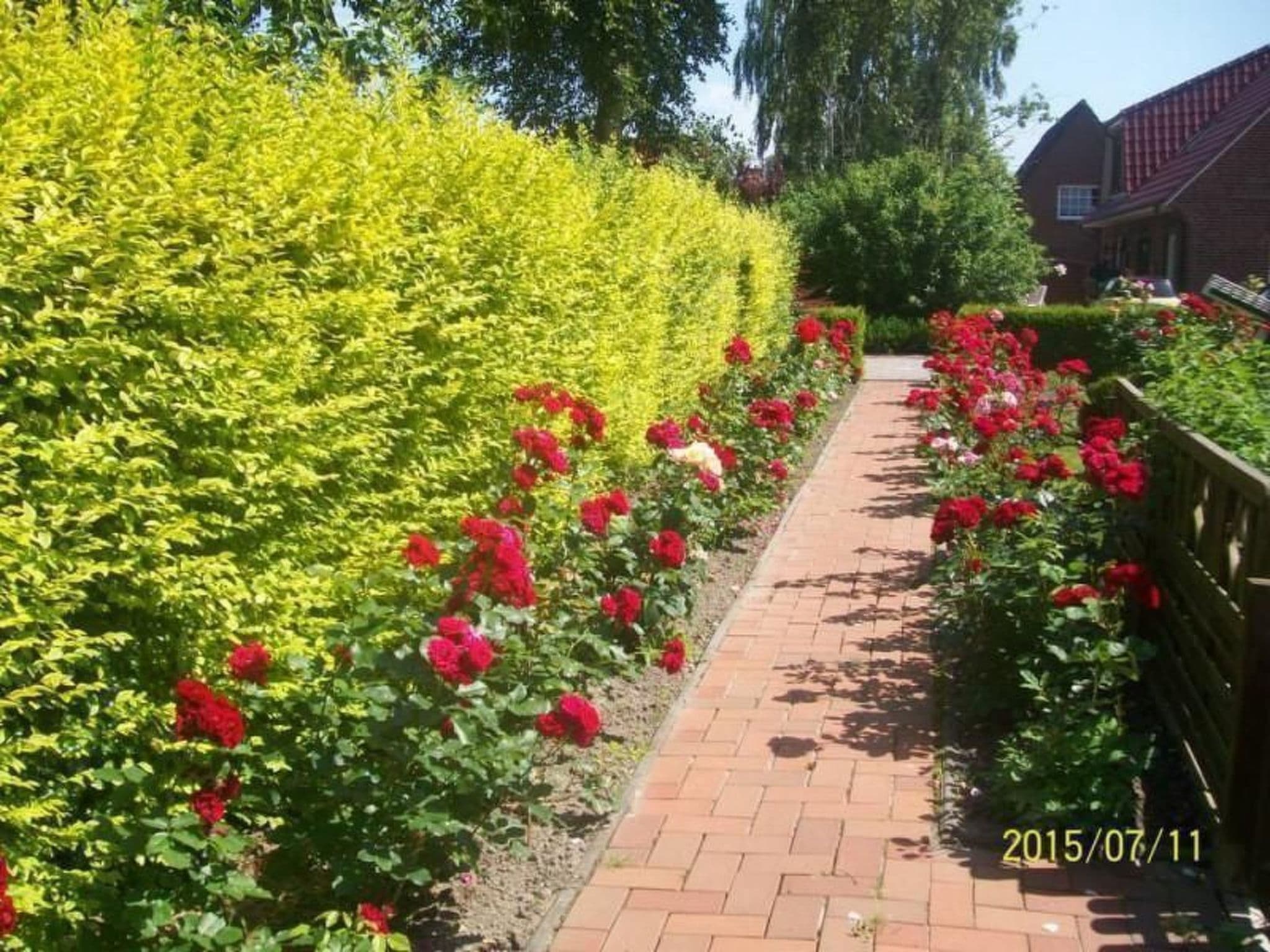 Gallery Image 21