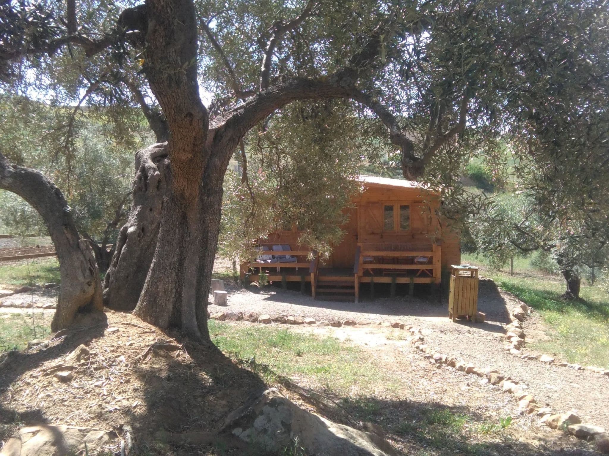 Gallery Image 13