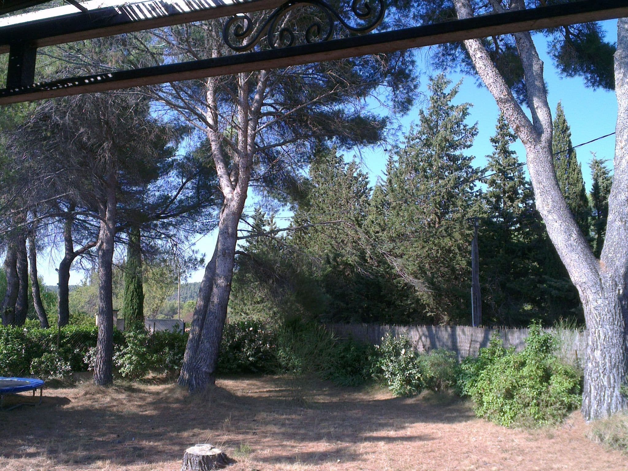 Gallery Image 14