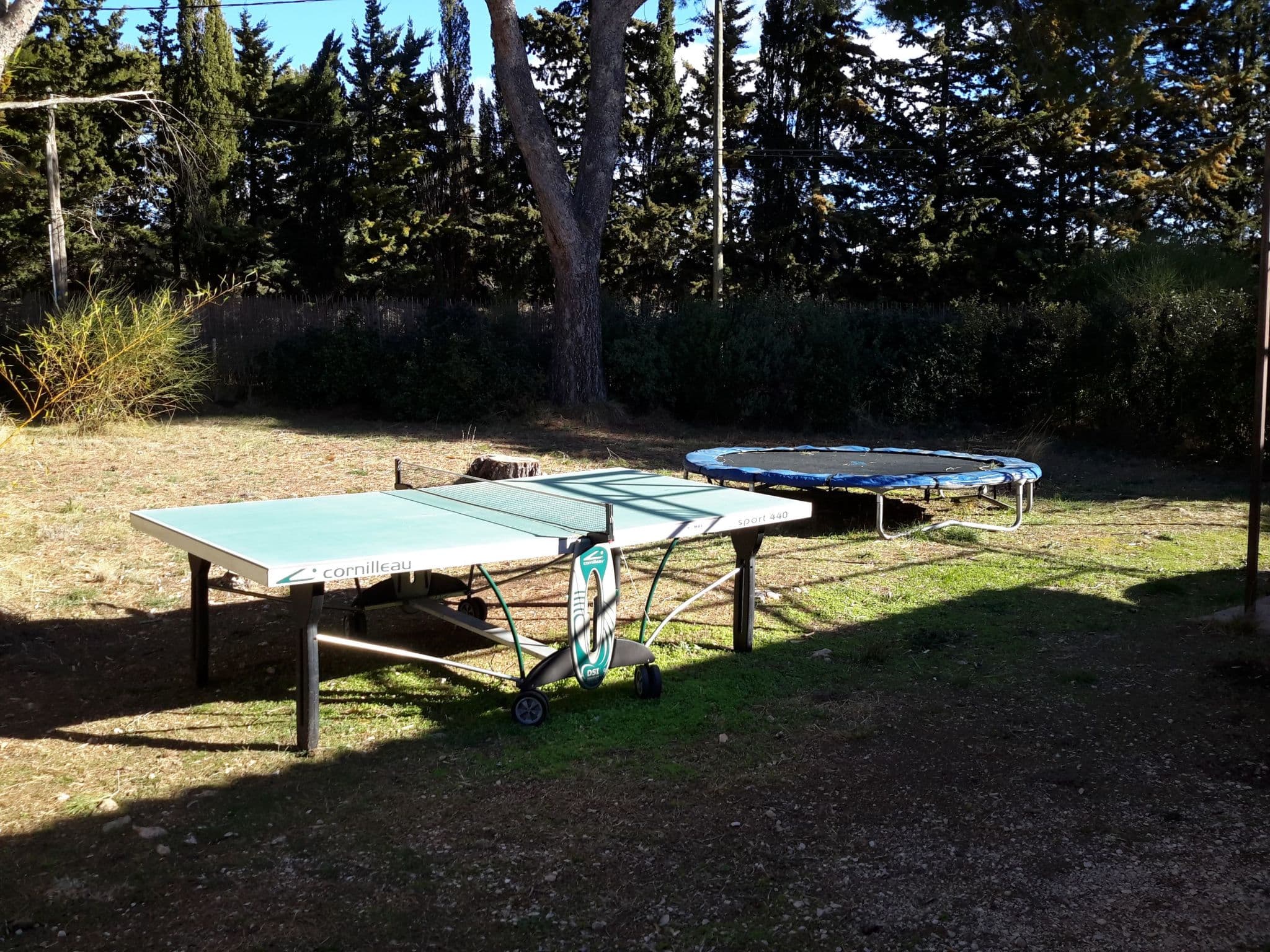 Gallery Image 17