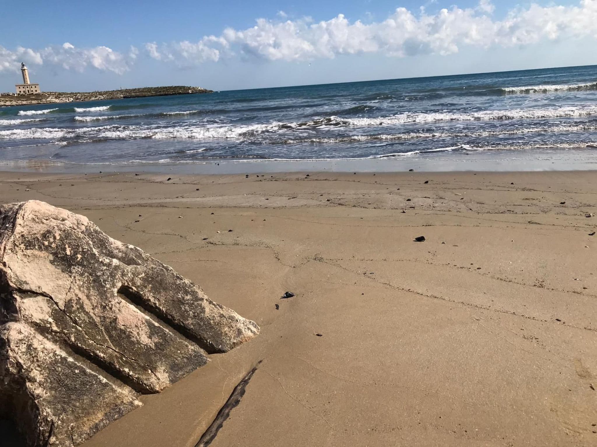 Gallery Image 17