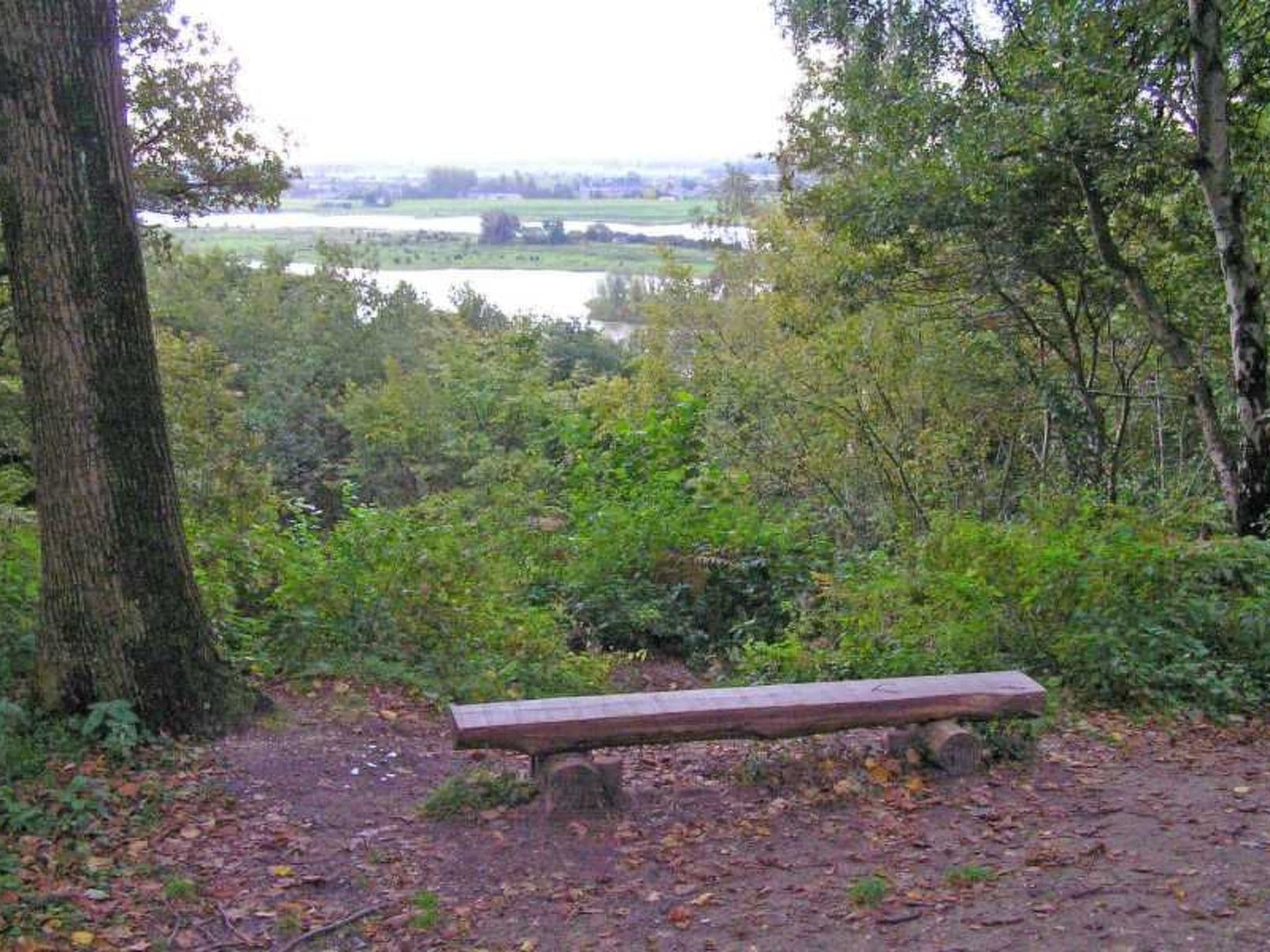 Gallery Image 14