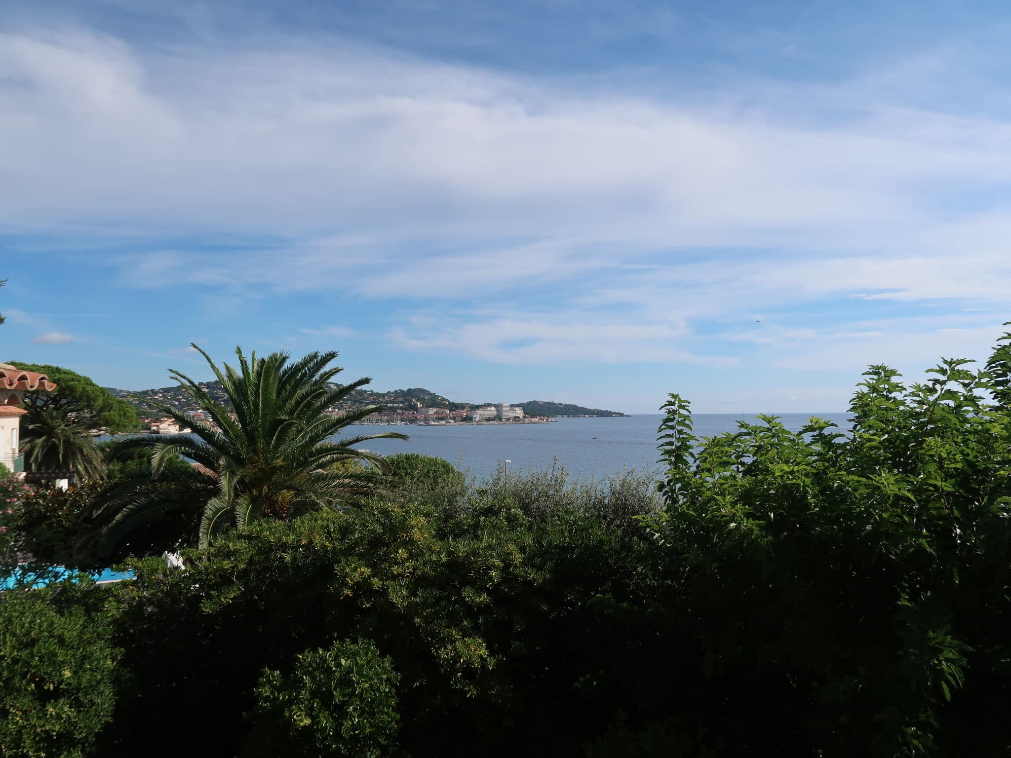 View