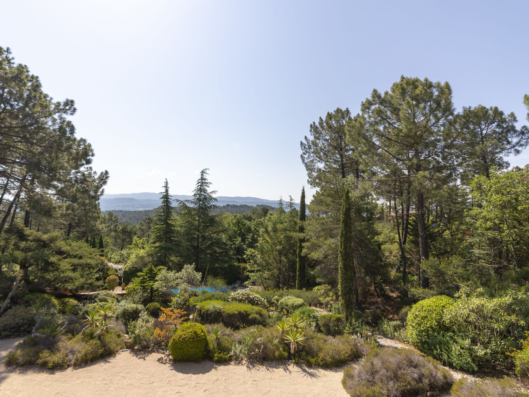 View