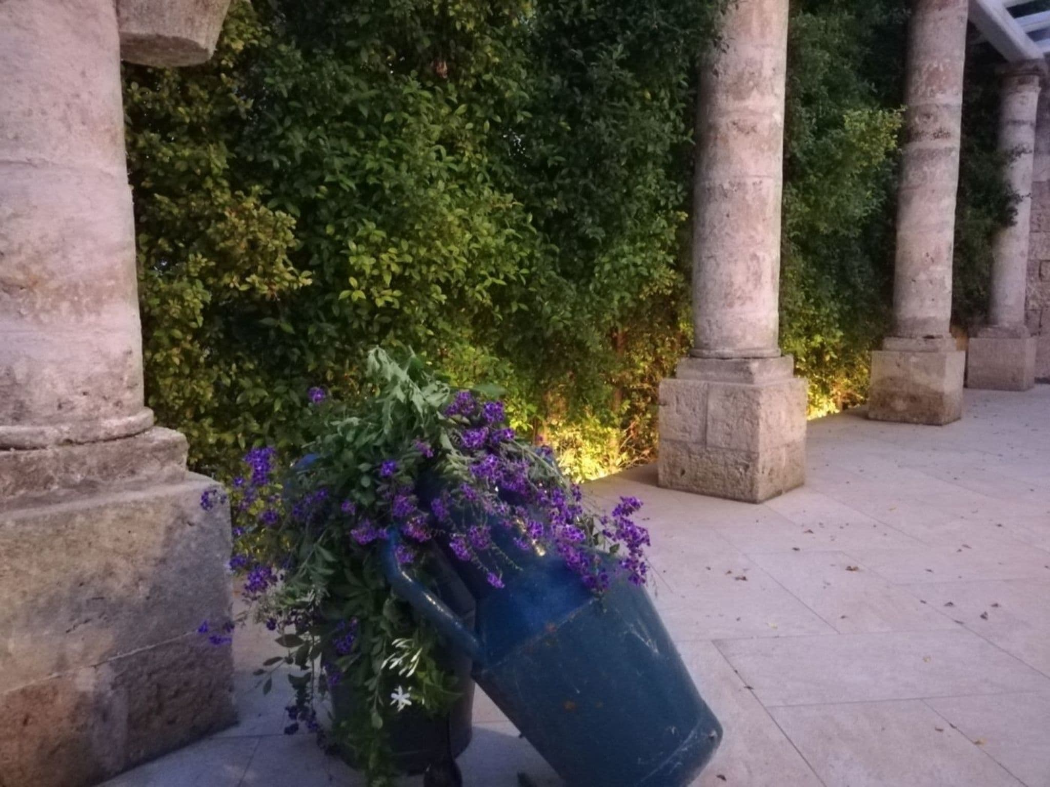 Gallery Image 14