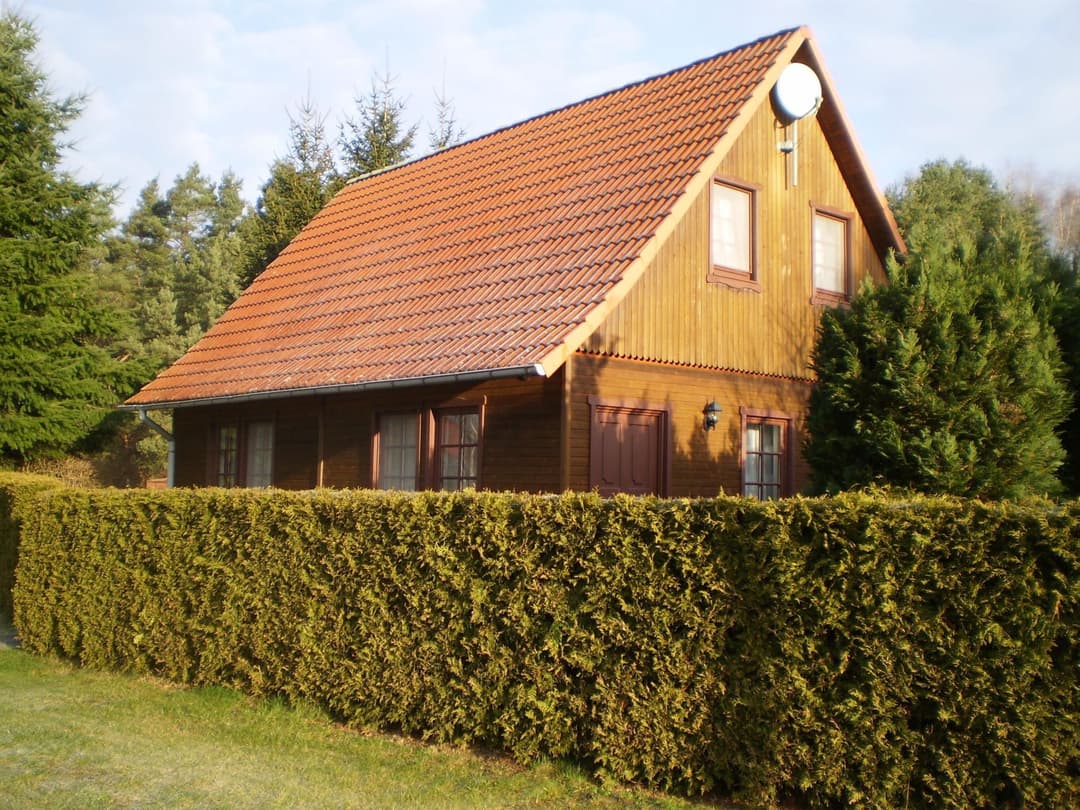 Large Image