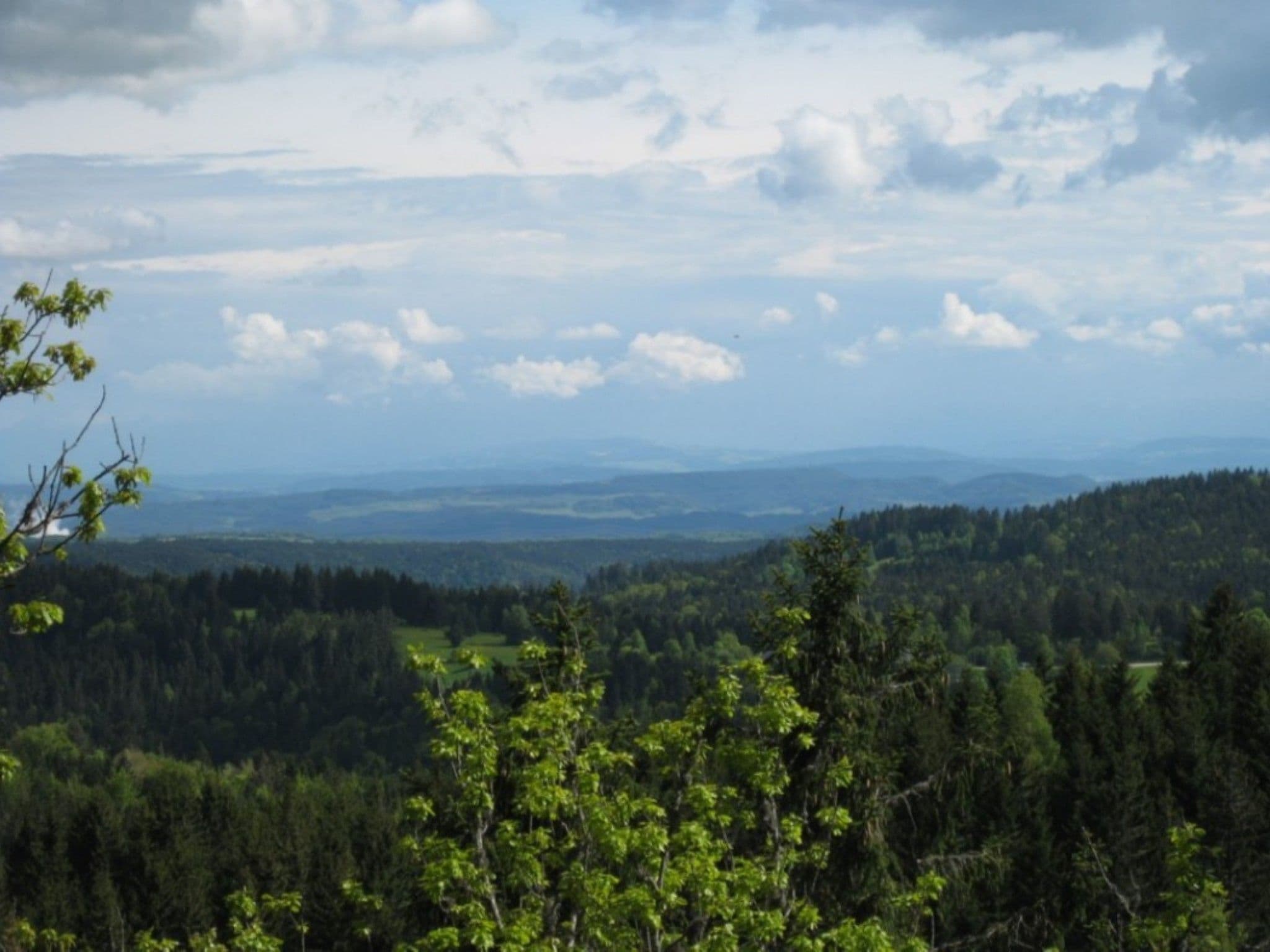 View