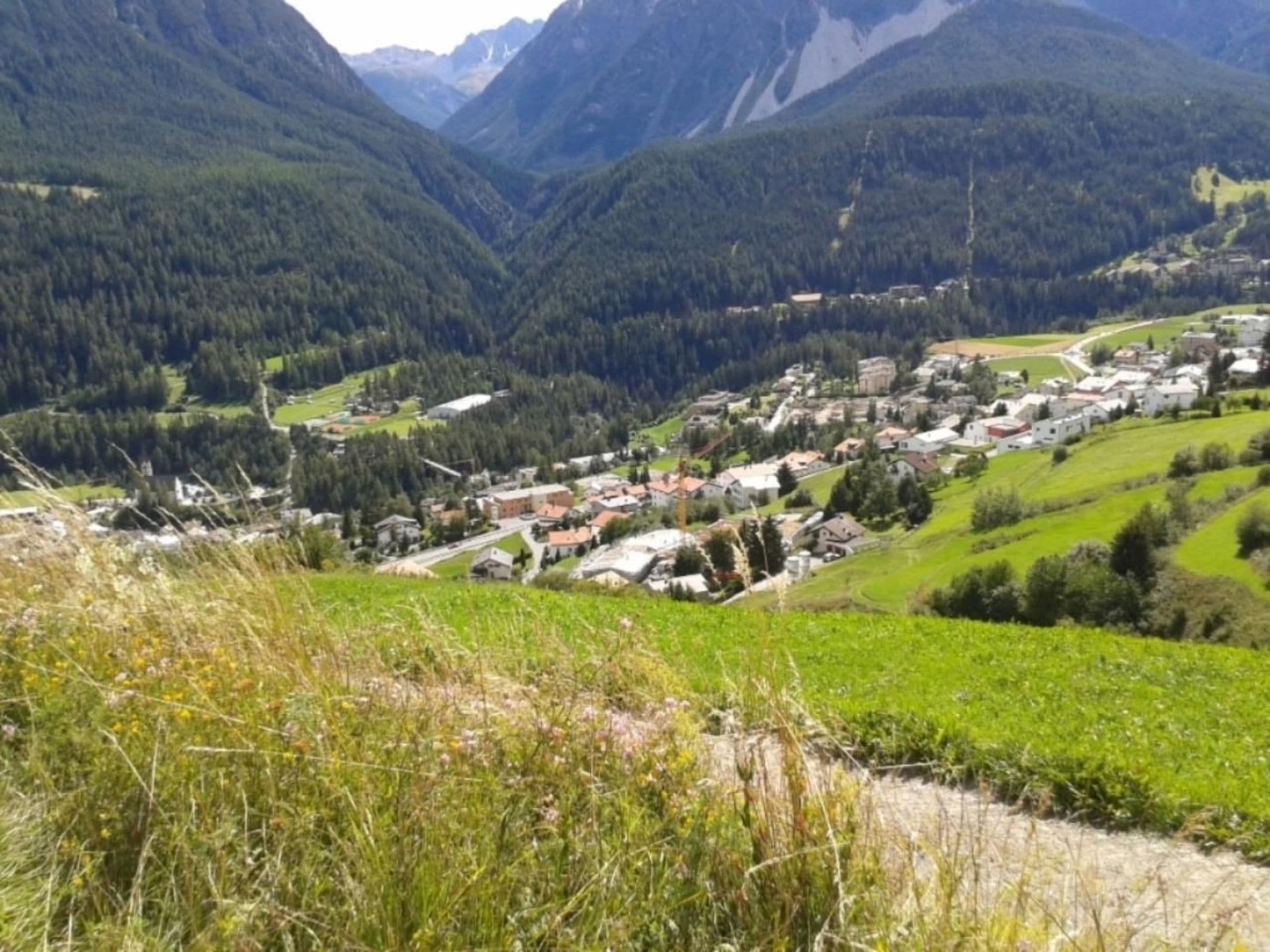 View