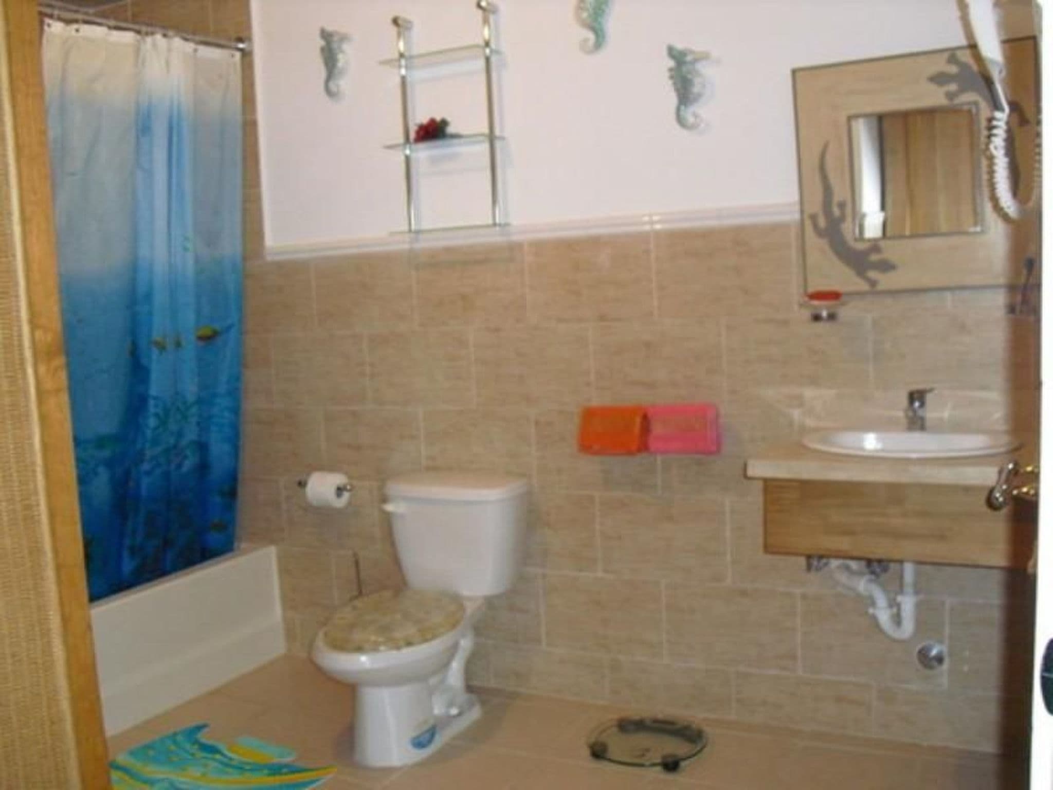 Bathroom / Wellness