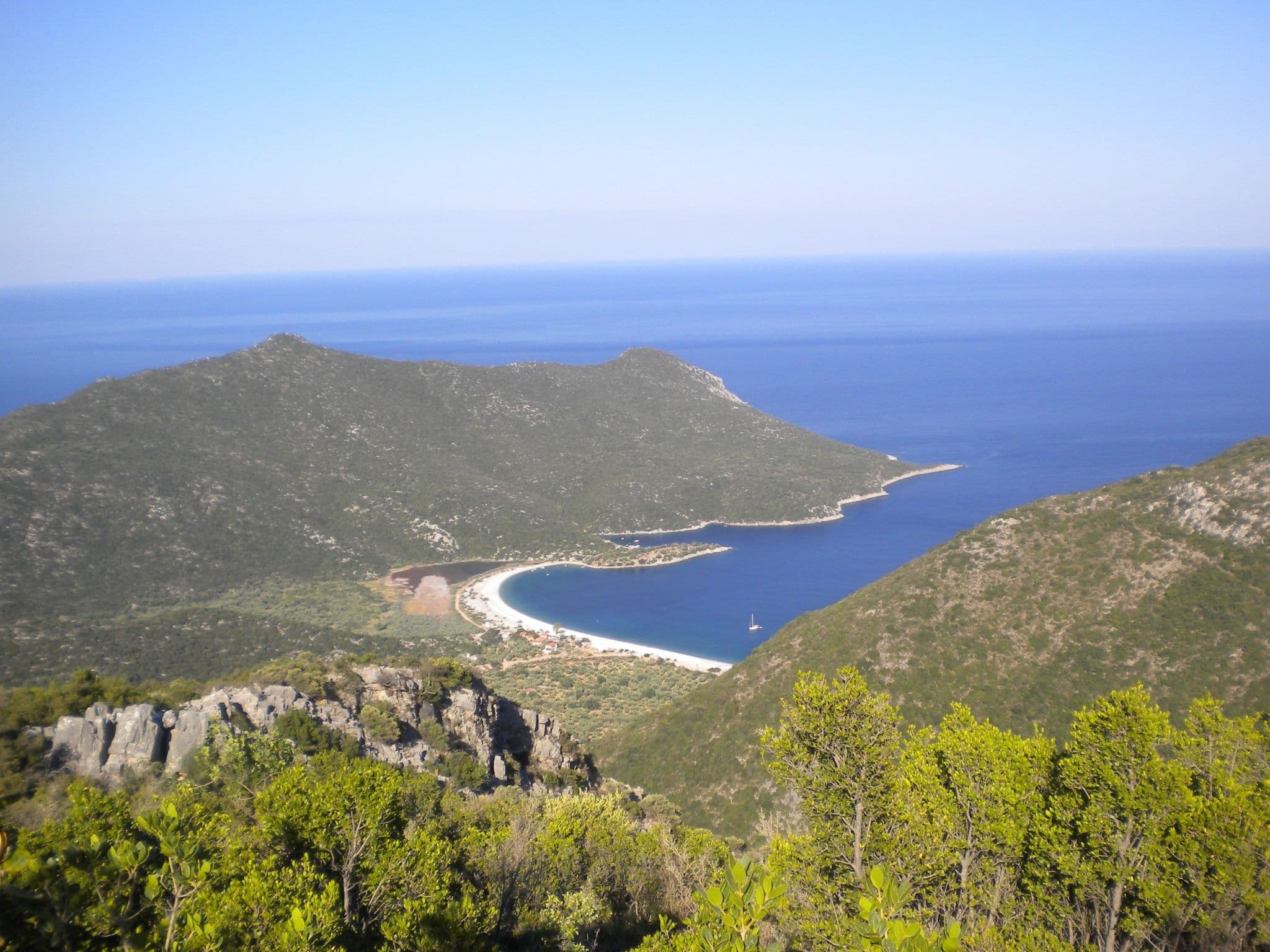 View