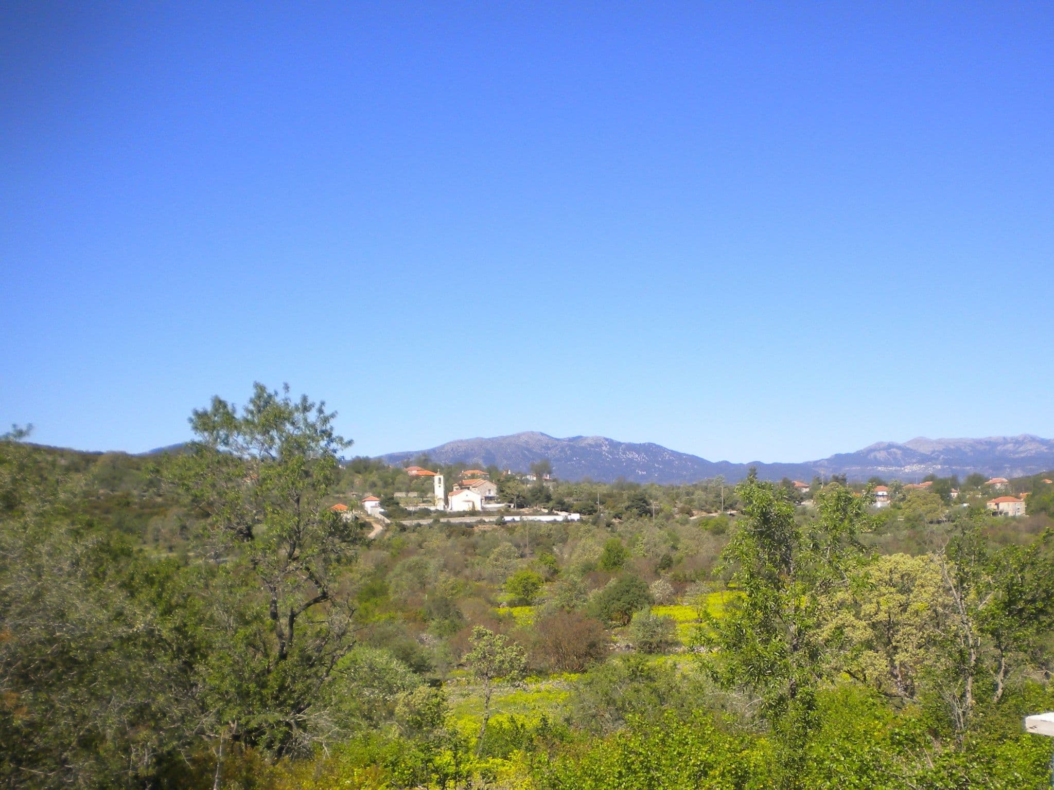 Gallery Image 56