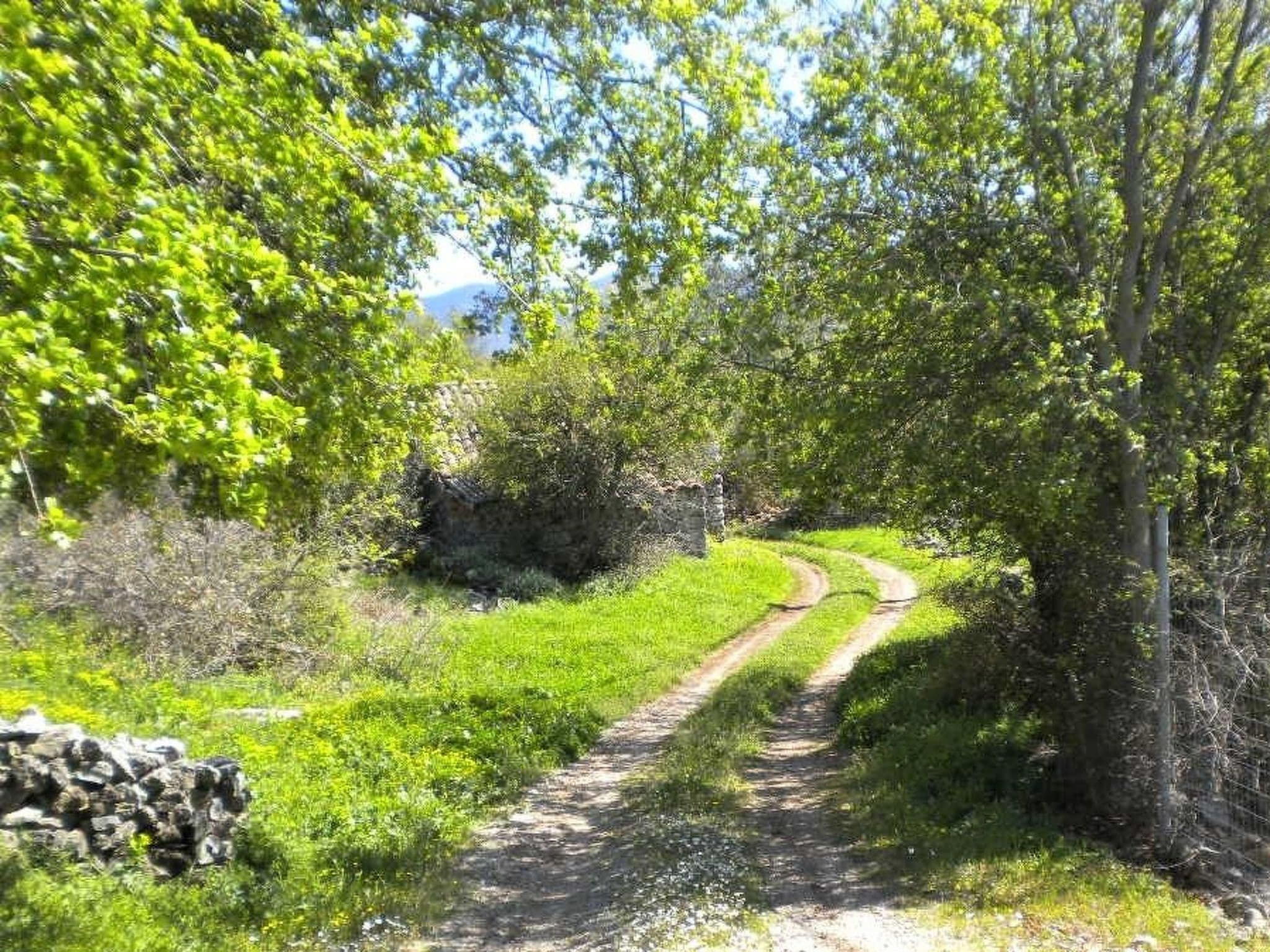 Gallery Image 41