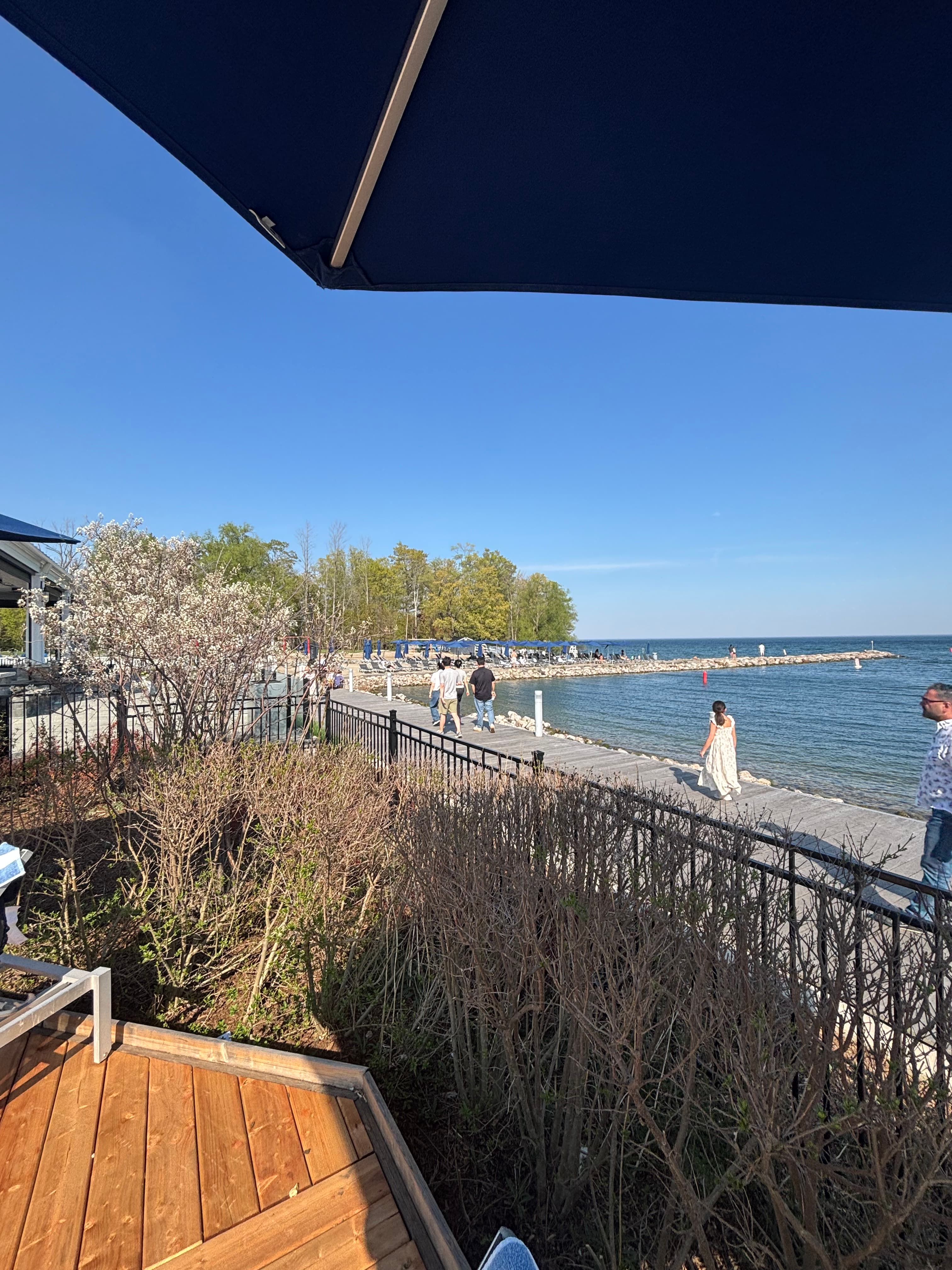 Boardwalk along the Lake