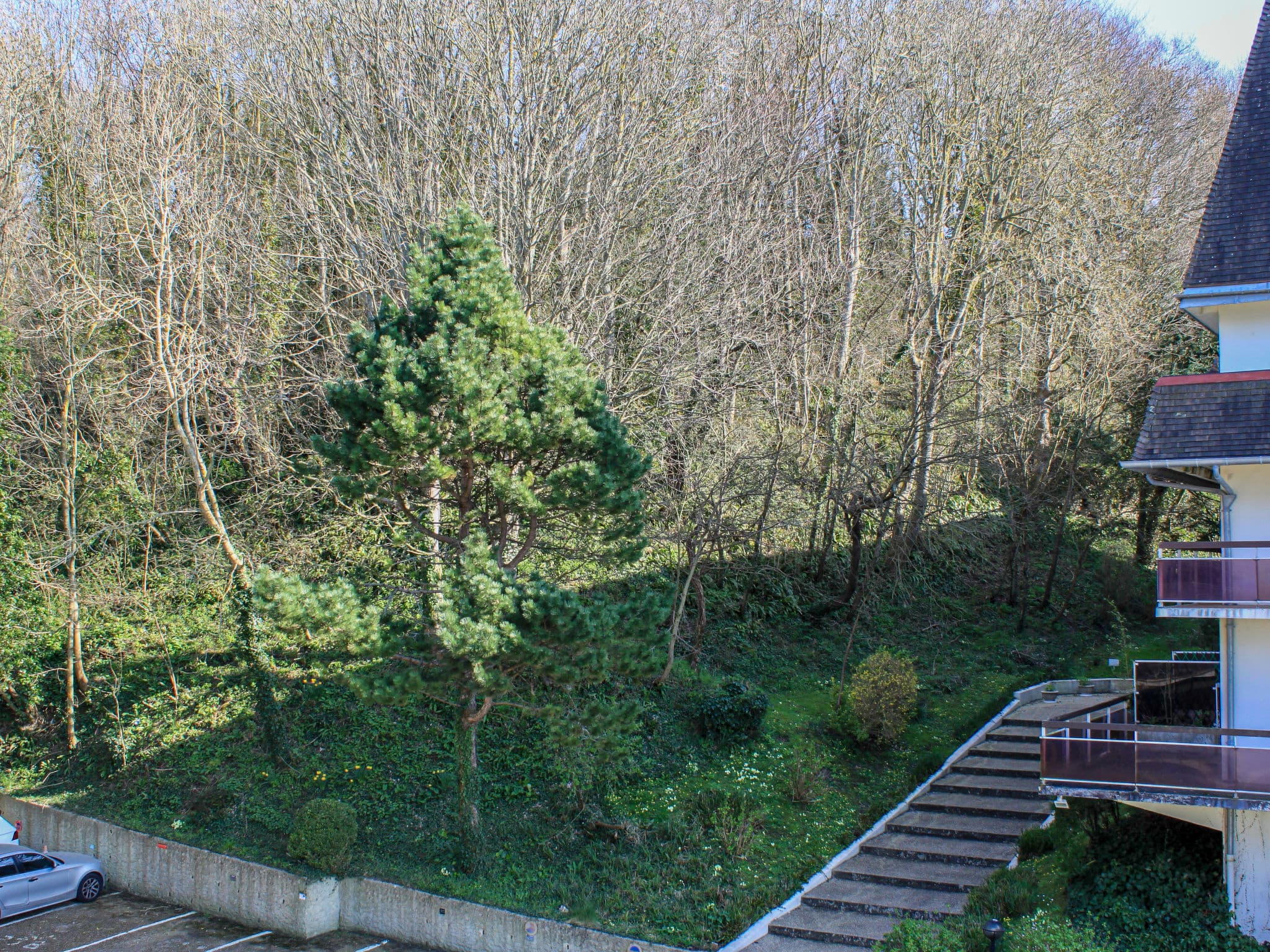 View