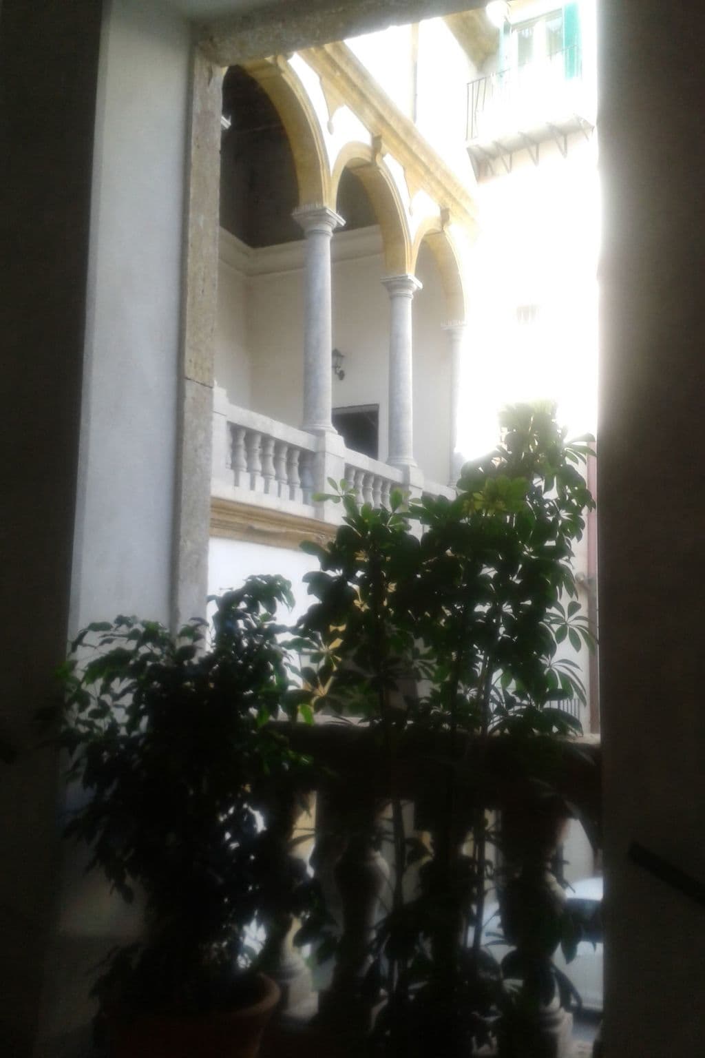 Gallery Image 20