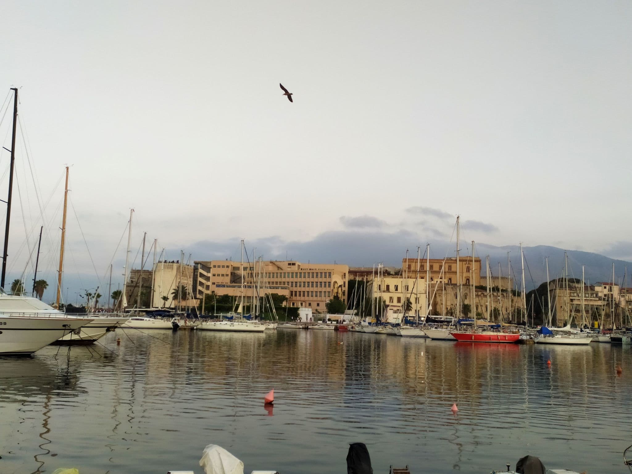 Gallery Image 22