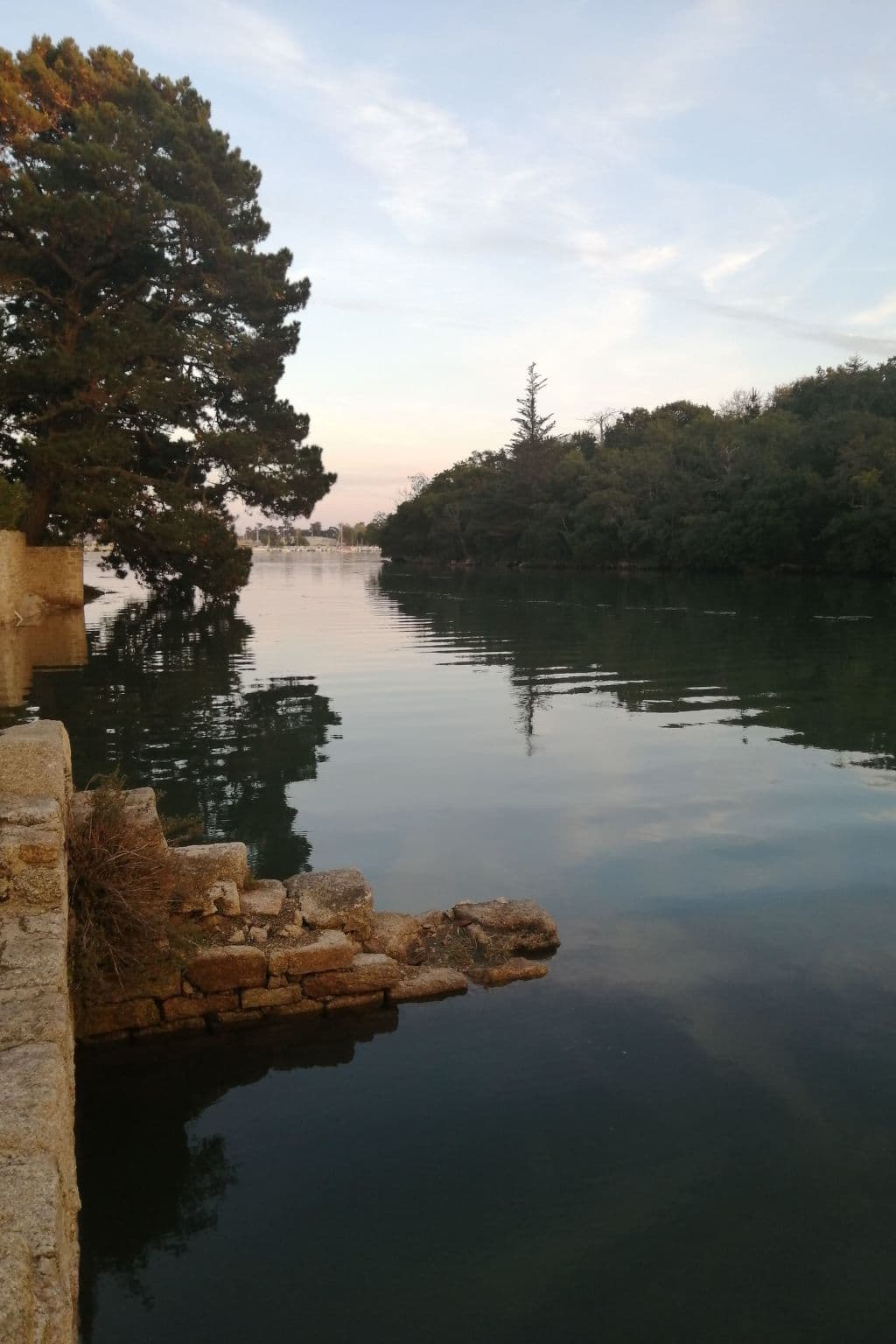 Gallery Image 29