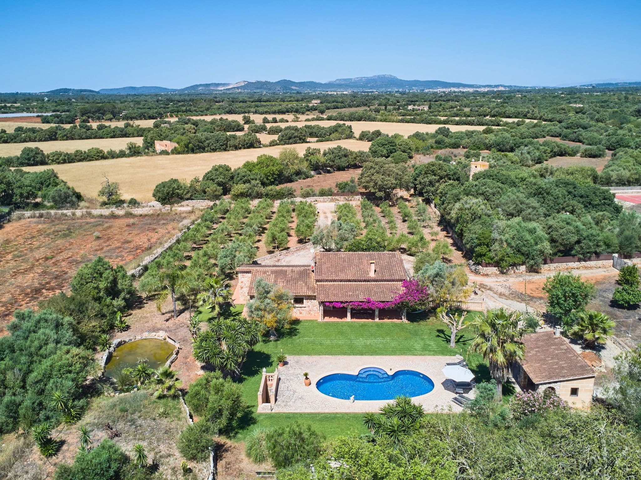 Aerial photography