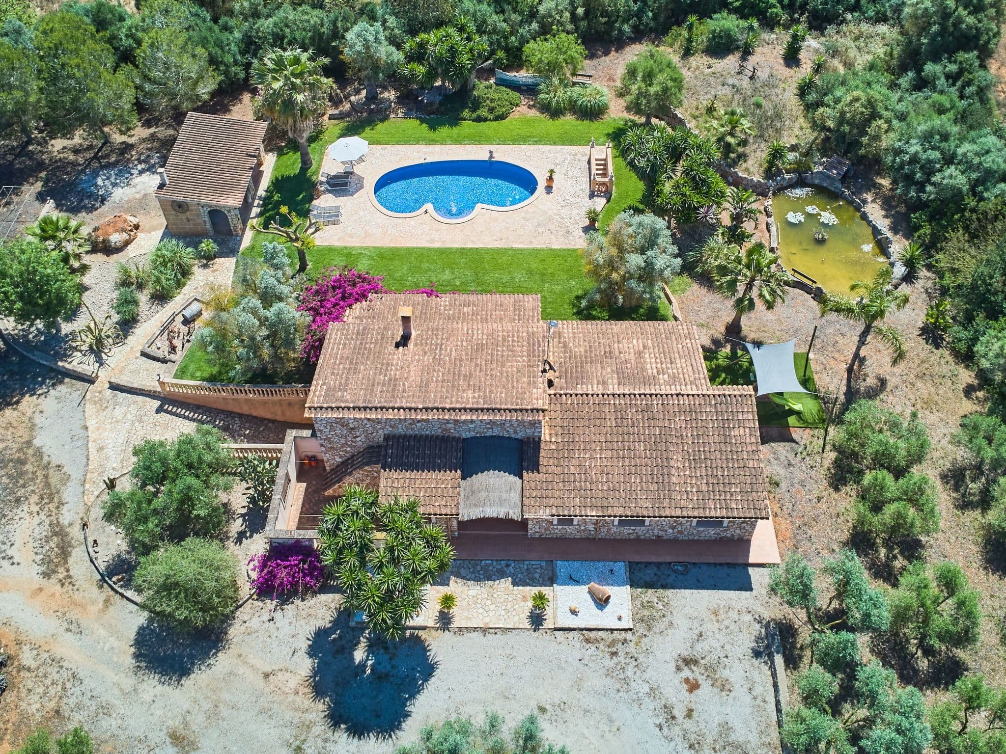 Aerial photography