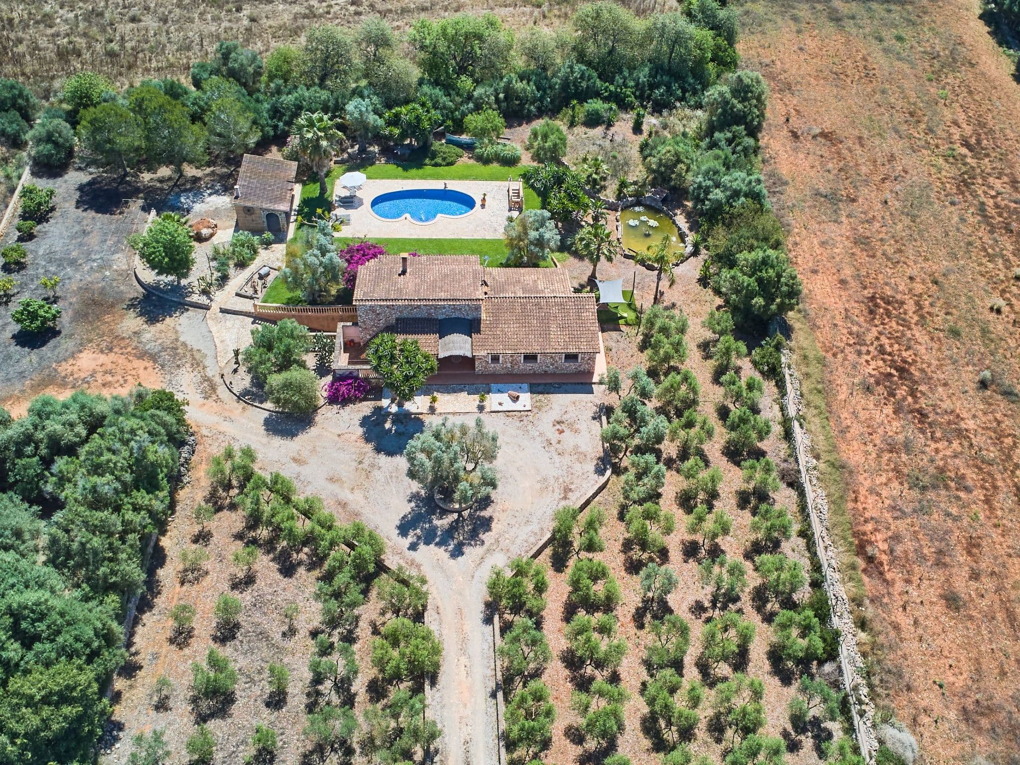 Aerial photography