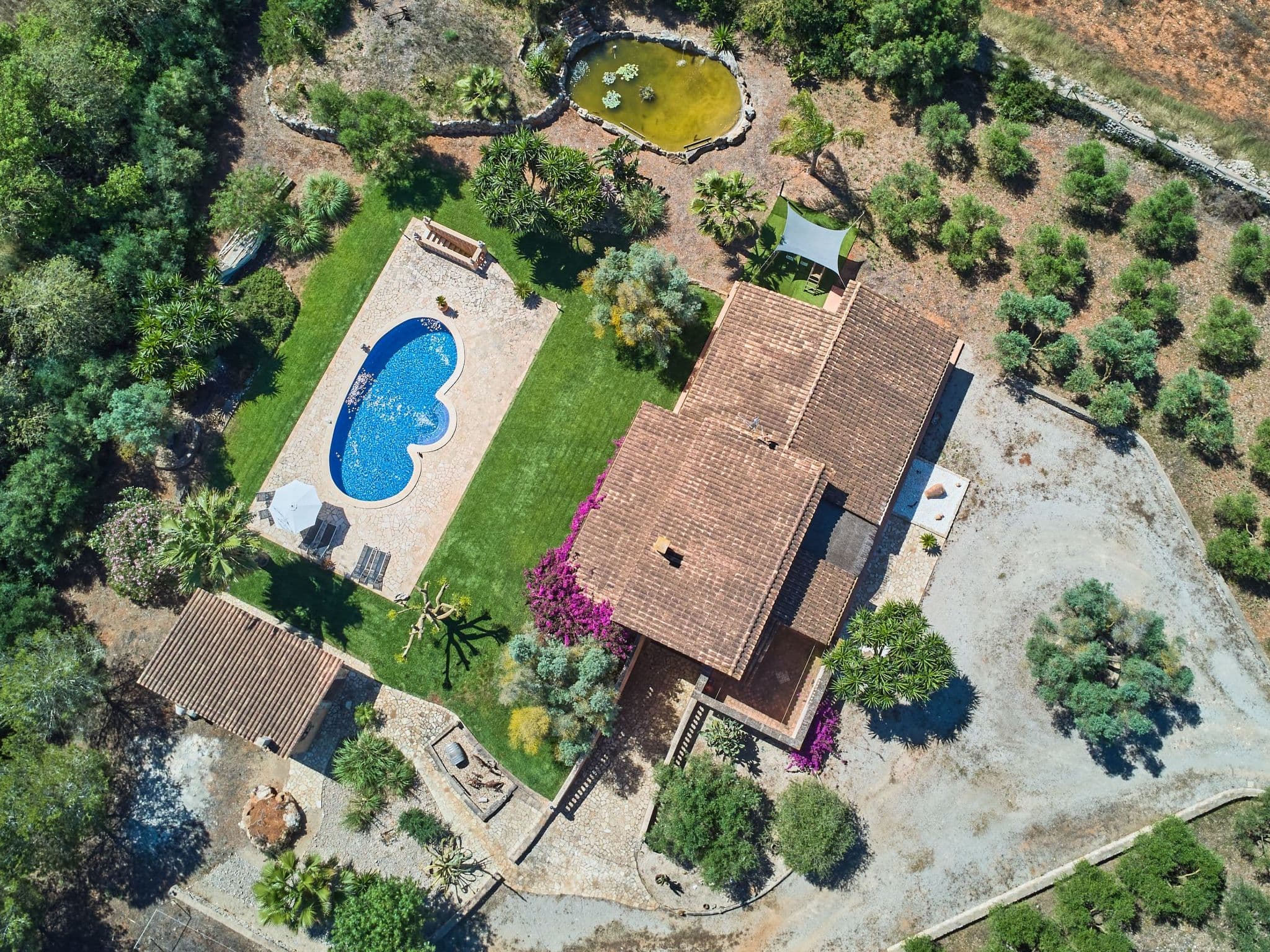 Aerial photography