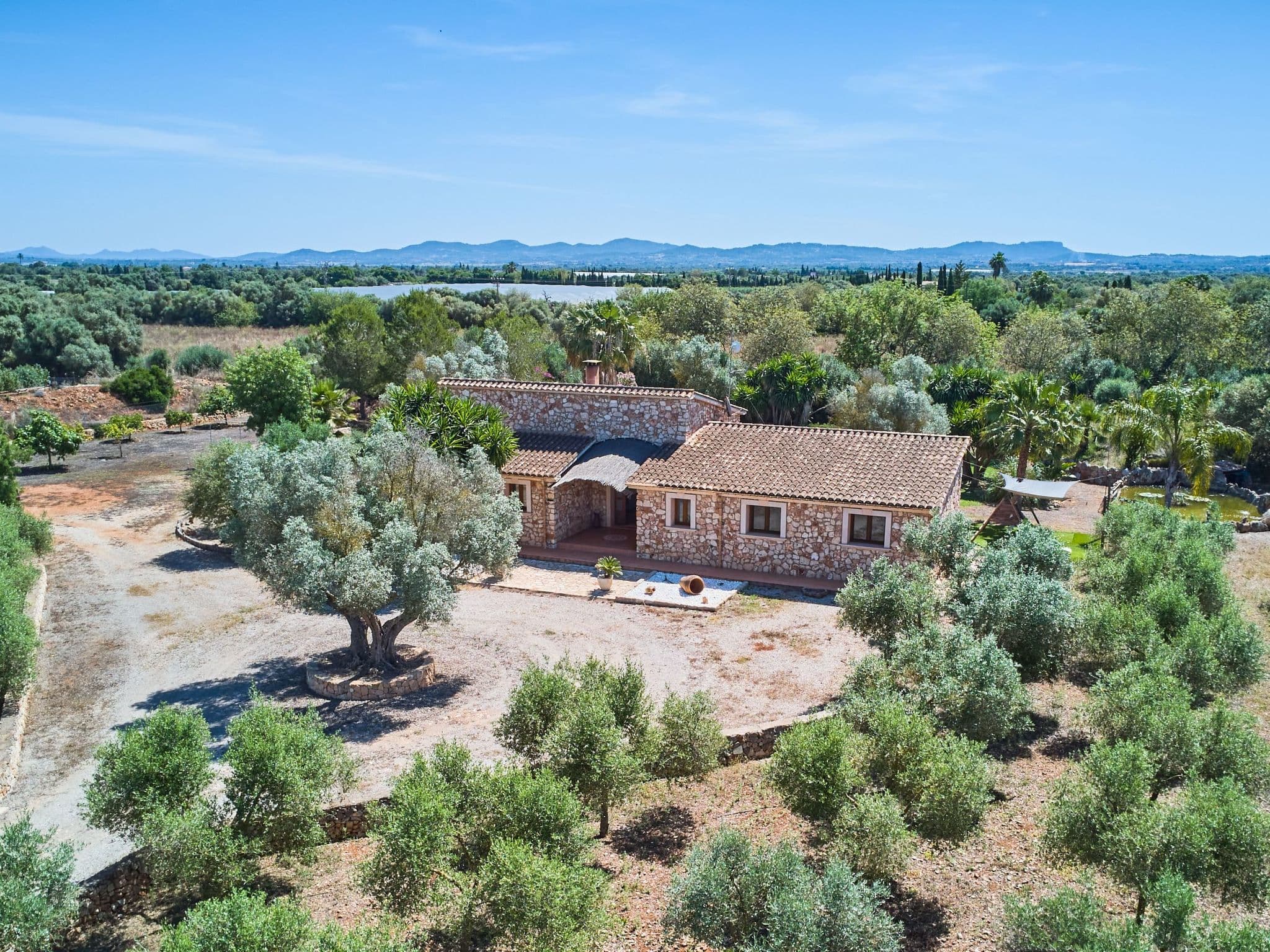 Aerial photography