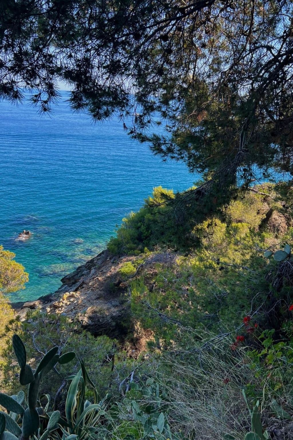 View