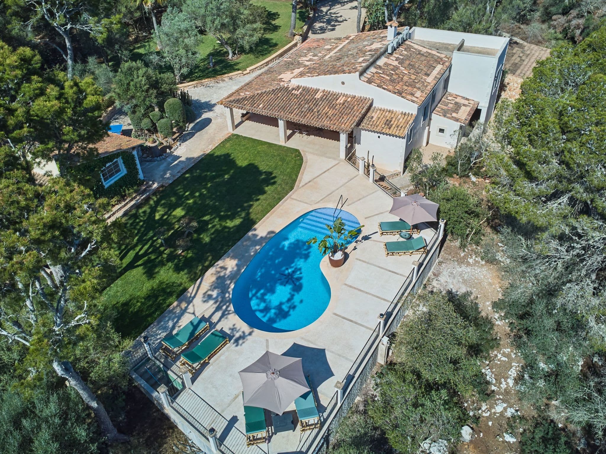 Aerial photography