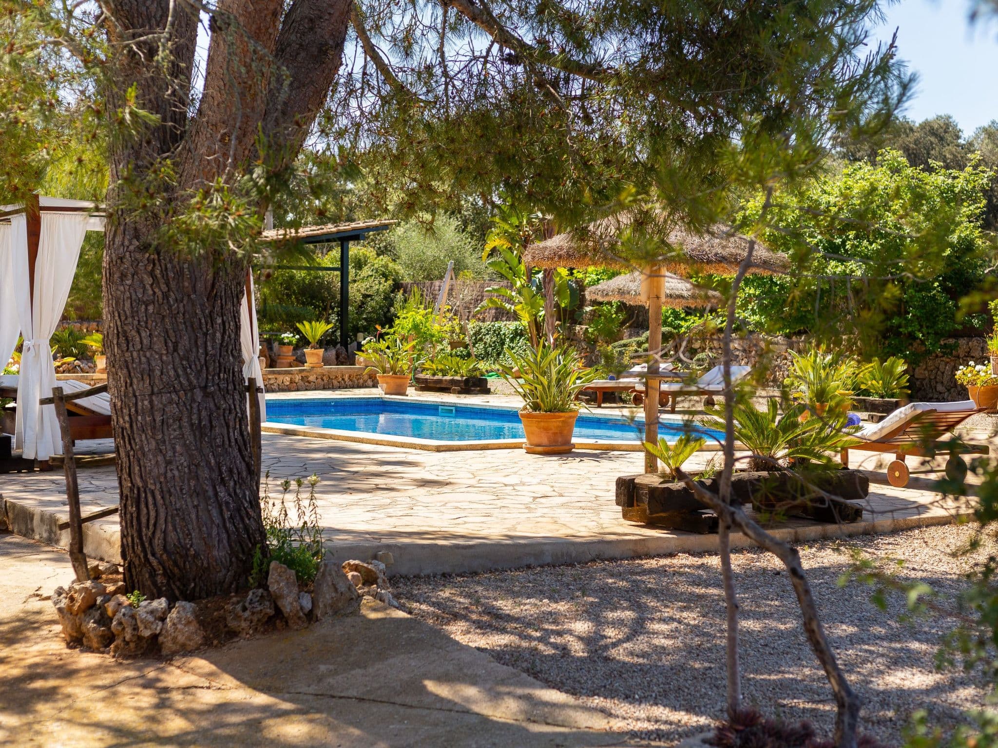 Pool Outdoor
