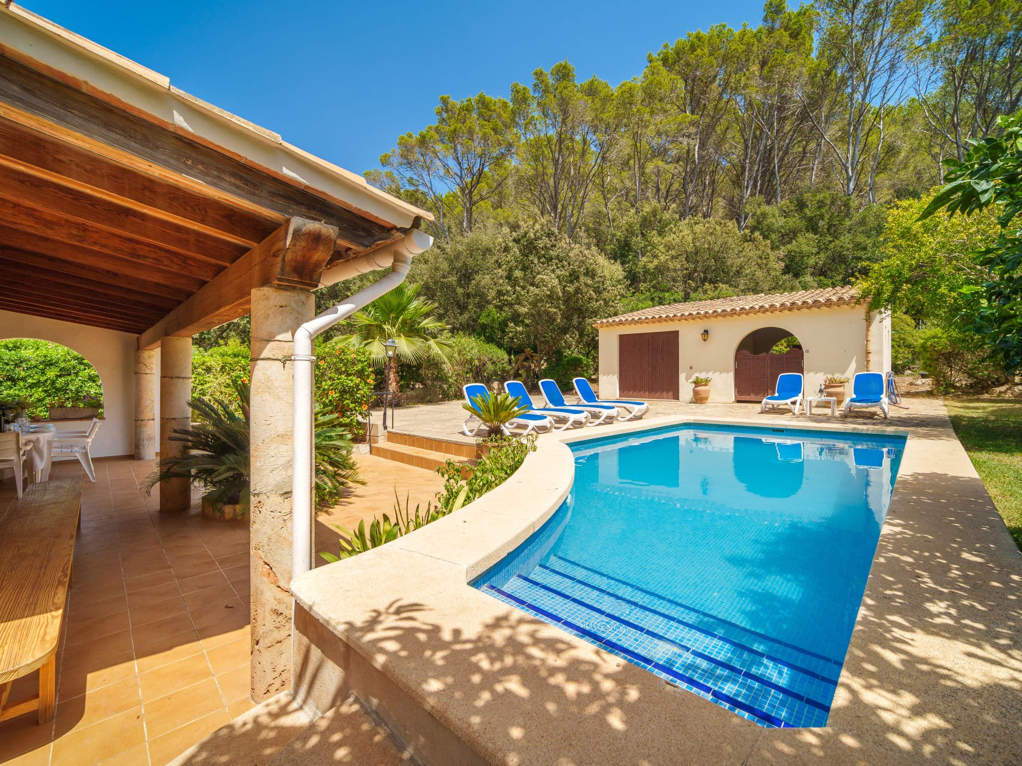 Pool Outdoor