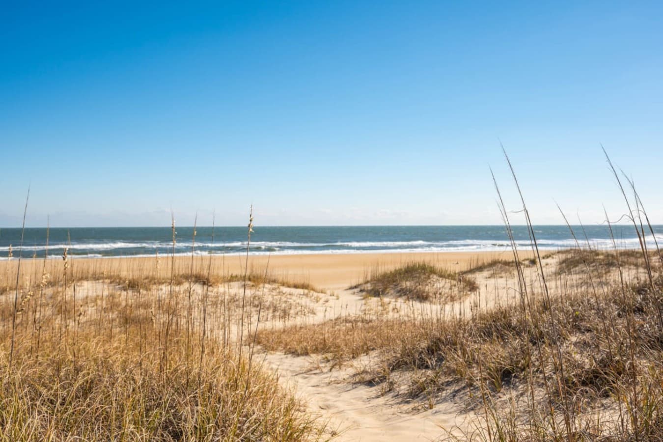 Sandy dunes & sea grasses framing a wide ocean view under clear blue skies.