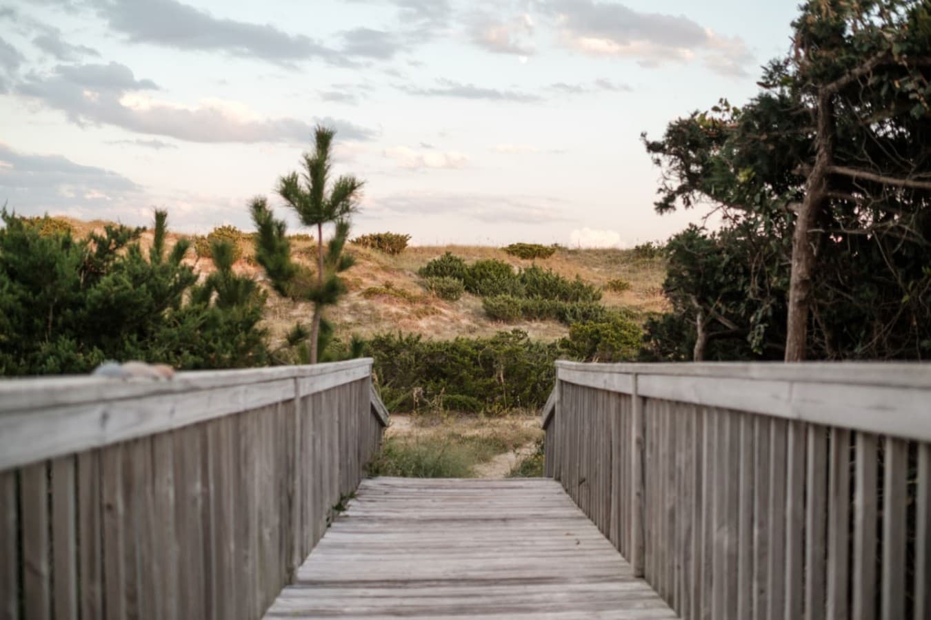 Boardwalk-style path leading through dunes toward the beach & open horizon.