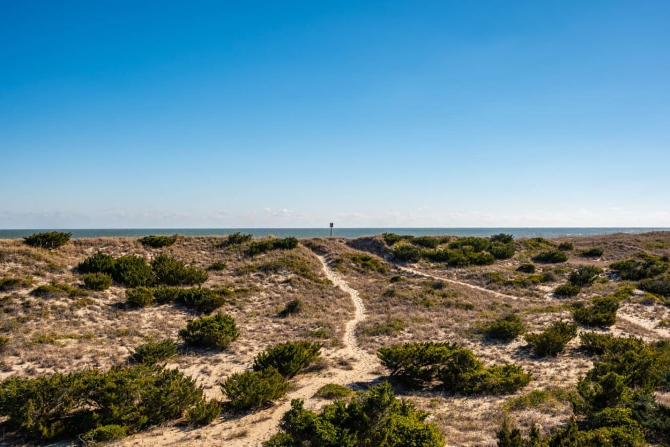 Natural dune landscape stretching out under open skies for a true coastal feel.