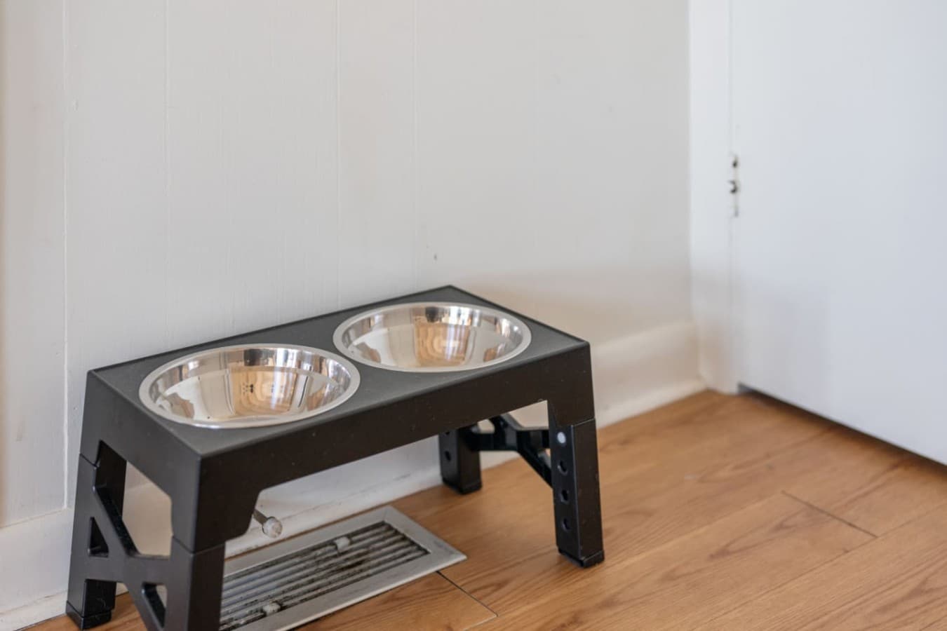Detail shot of a raised double feeding stand set out for guests travelling with a pet.