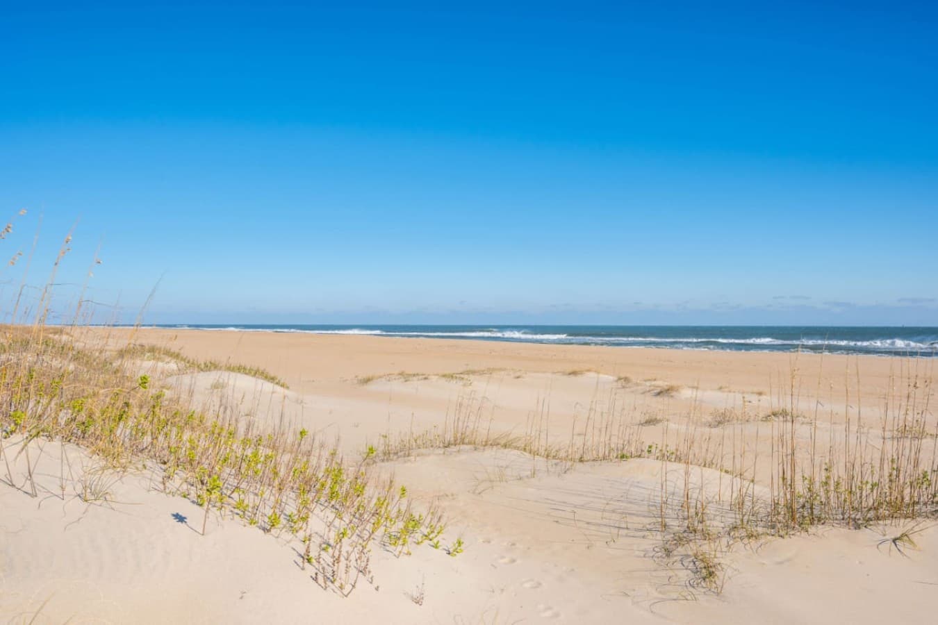 Sea oats & open sand along the dune line, w/ the Atlantic stretching out beyond.