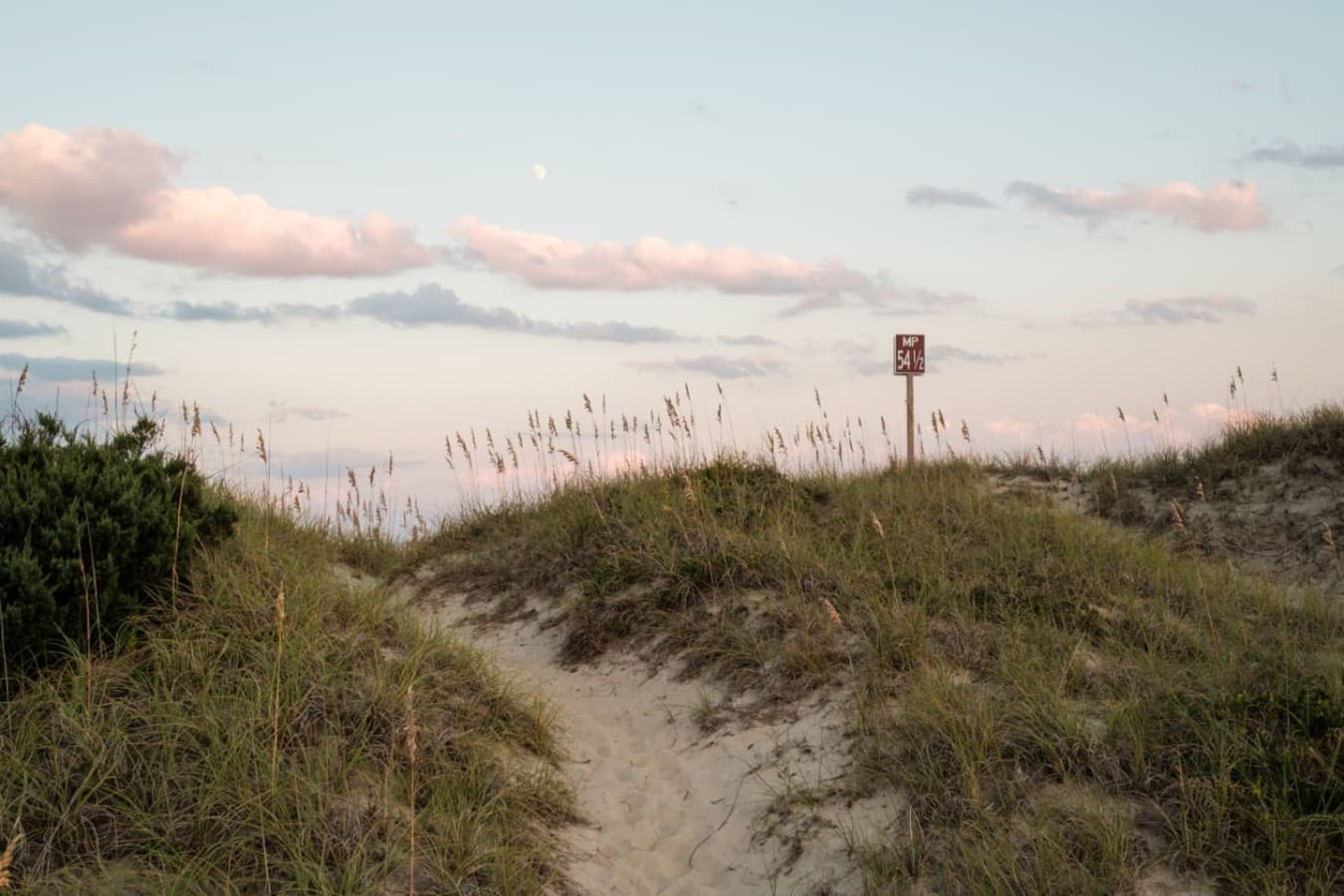 Dune path at dusk w/ sea oats catching the last light on the way back from the beach.