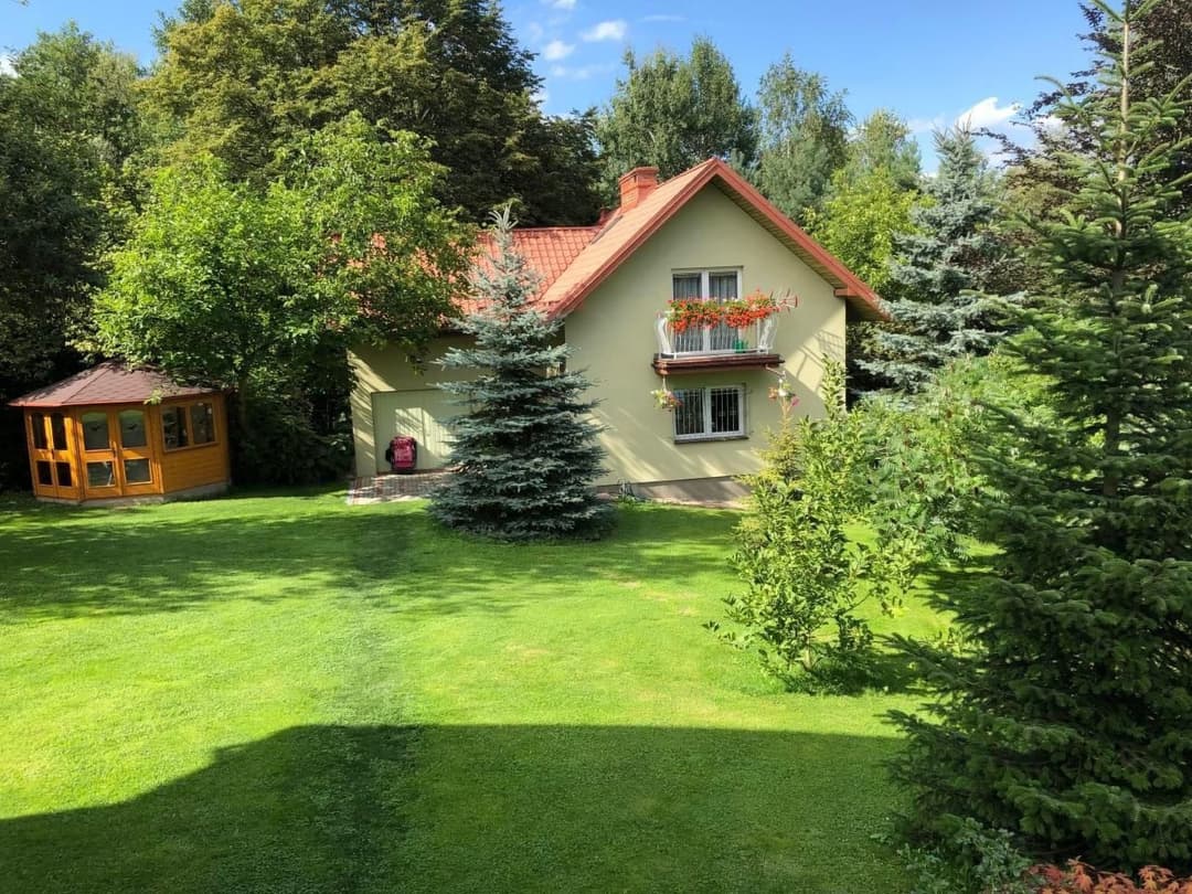 Large Image