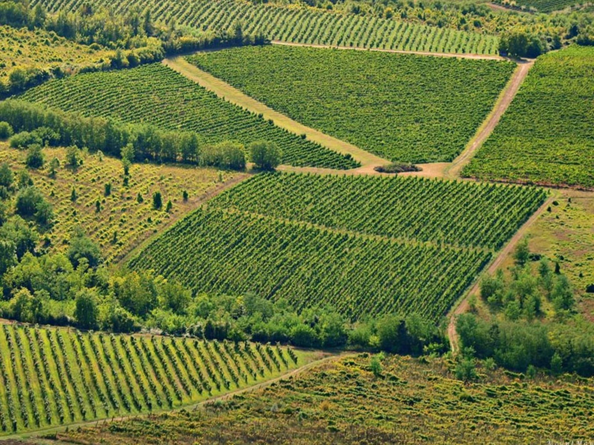 Aerial photography