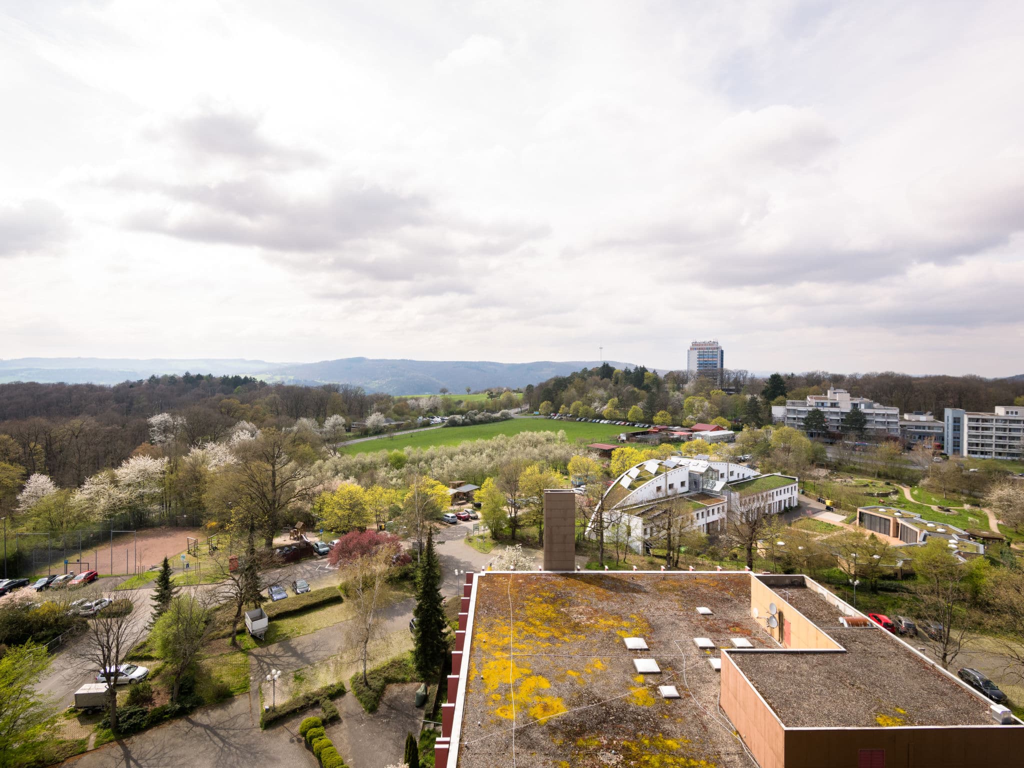 View