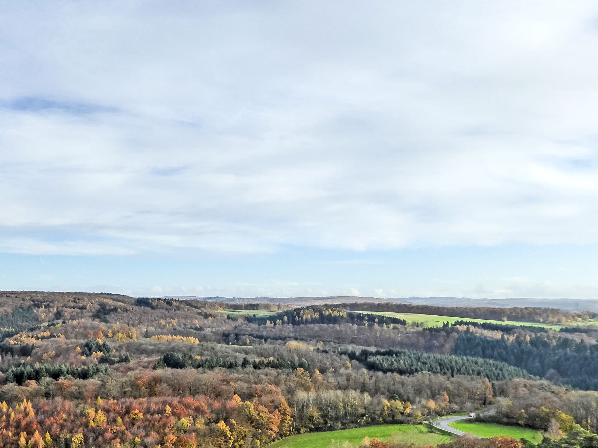 View