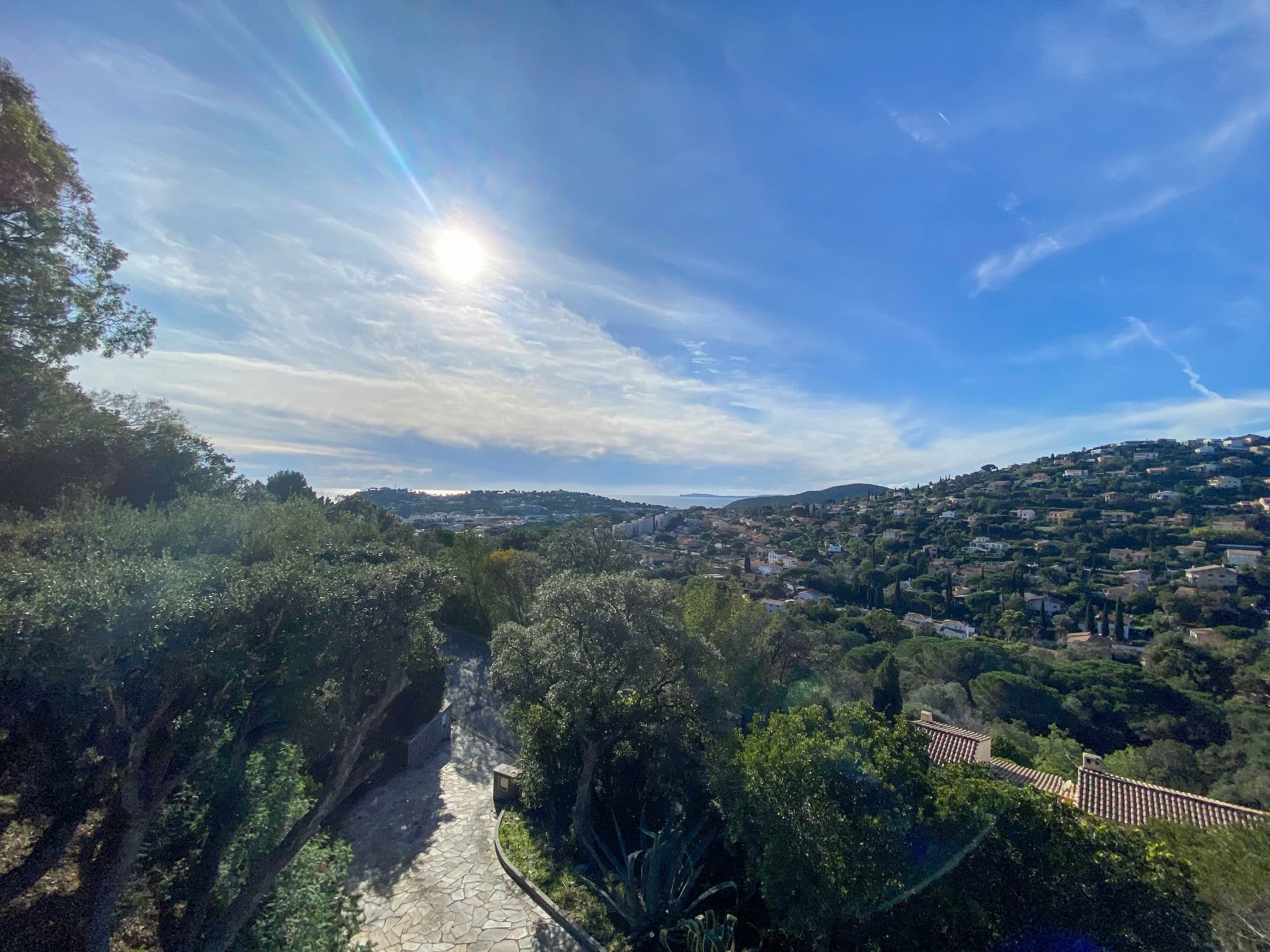 View