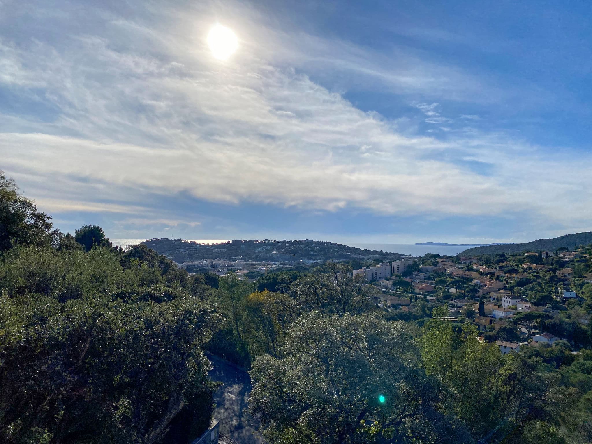 View