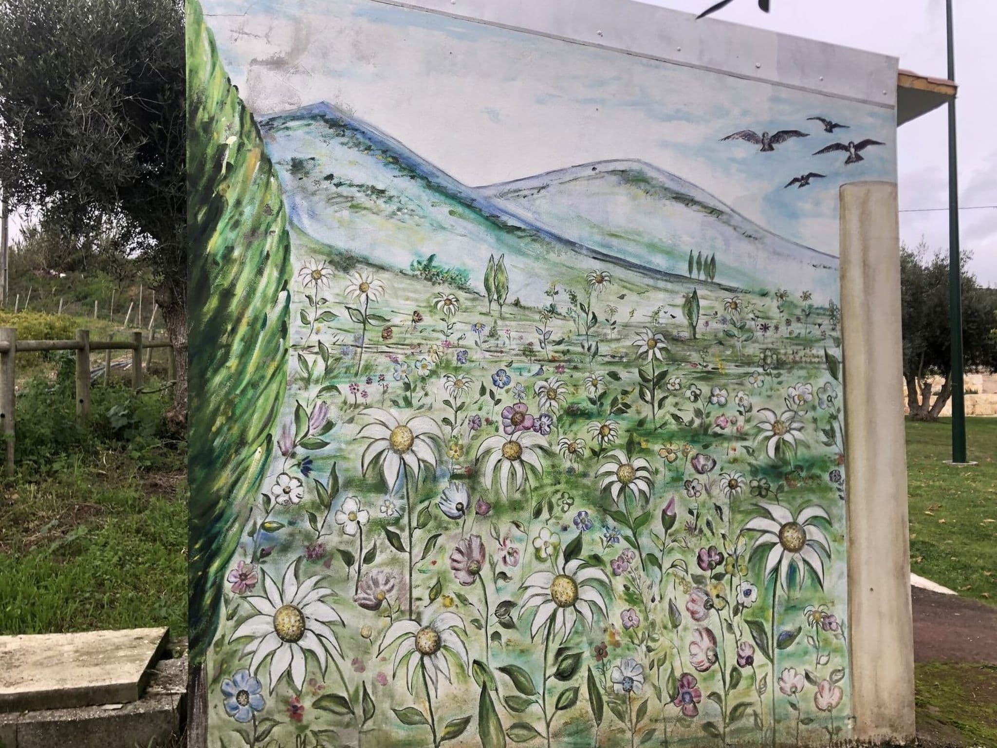 Gallery Image 15
